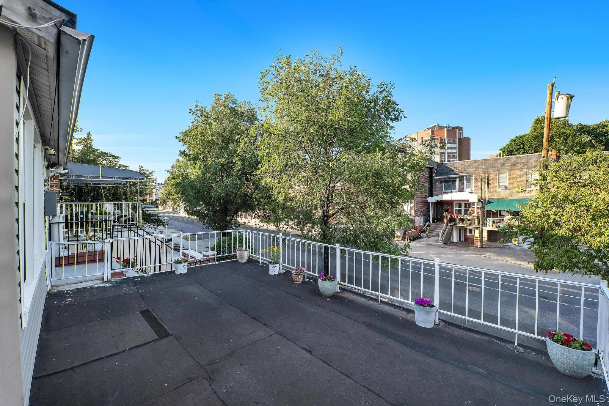 1651 Hering Avenue thumbnail 4