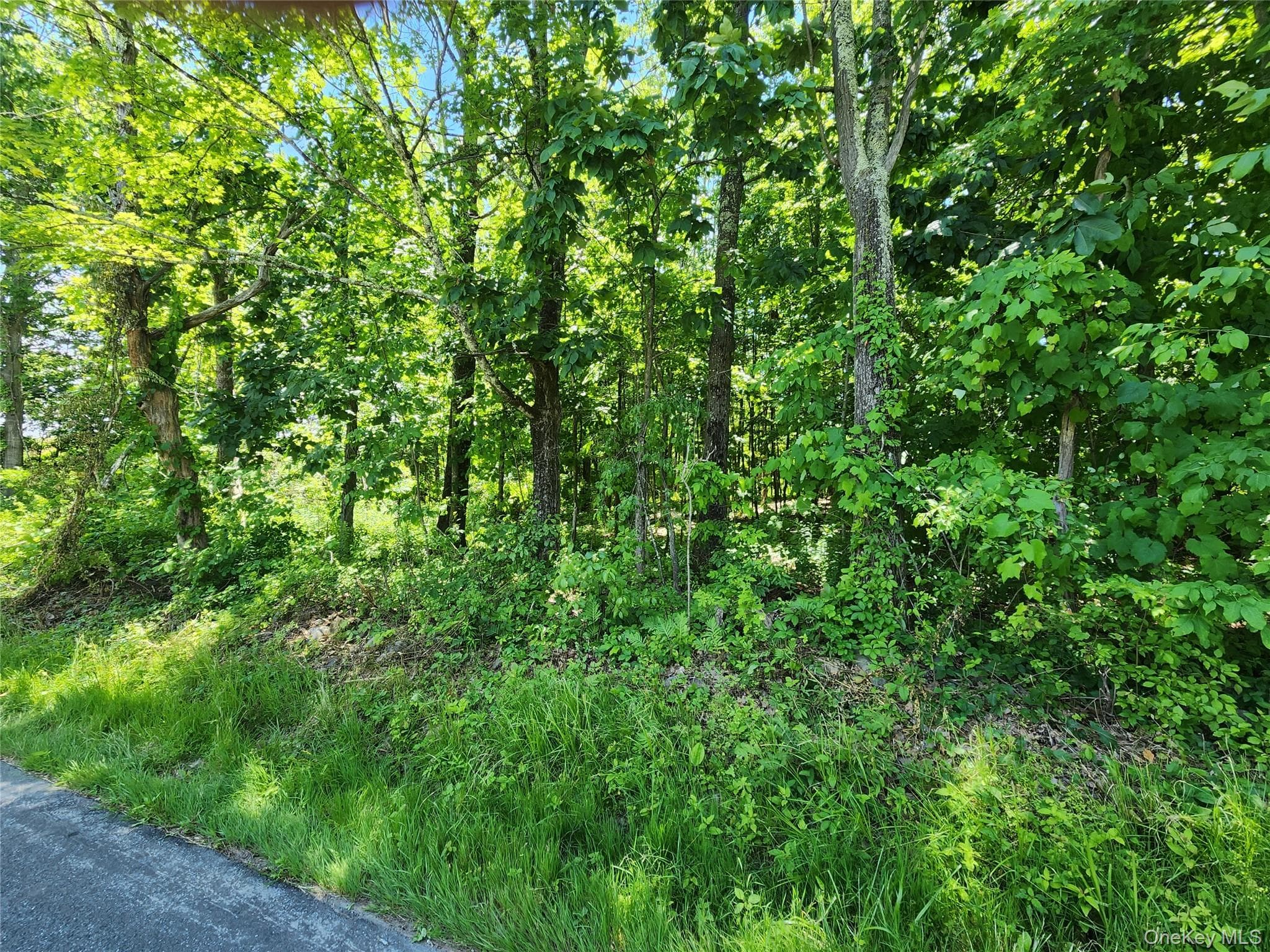 Irish Cape Road, Ellenville