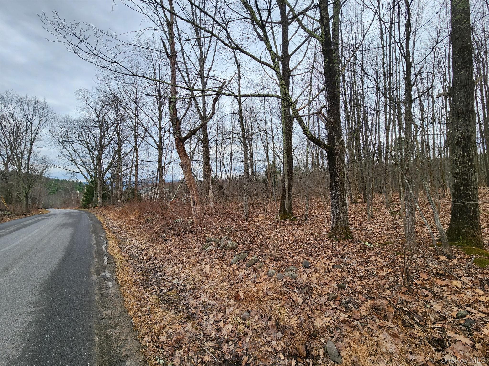 Irish Cape Road thumbnail 12