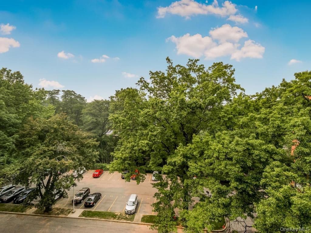 3901 Independence Avenue Unit: 6H thumbnail 10