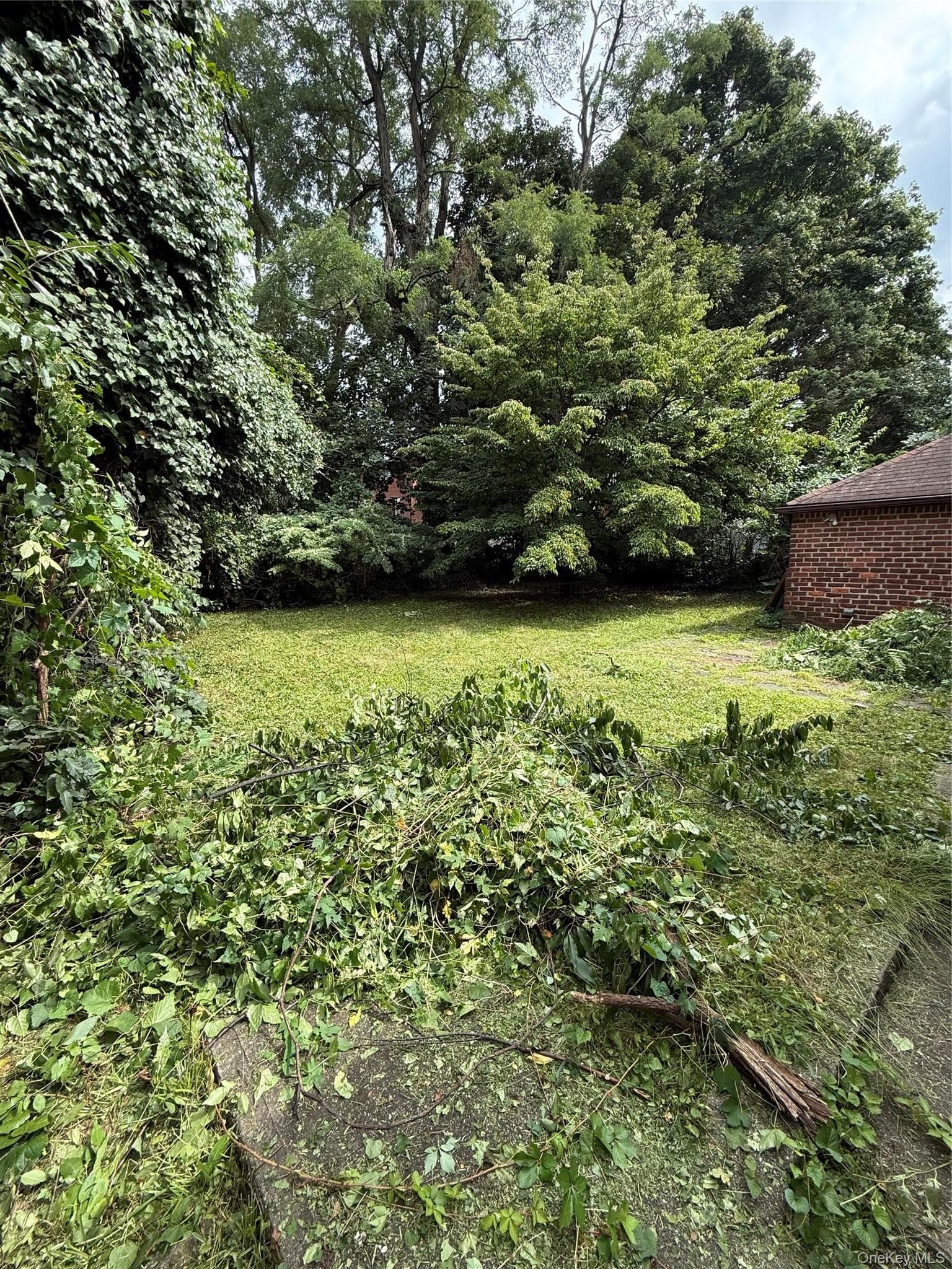 56 Hunt Avenue thumbnail 22
