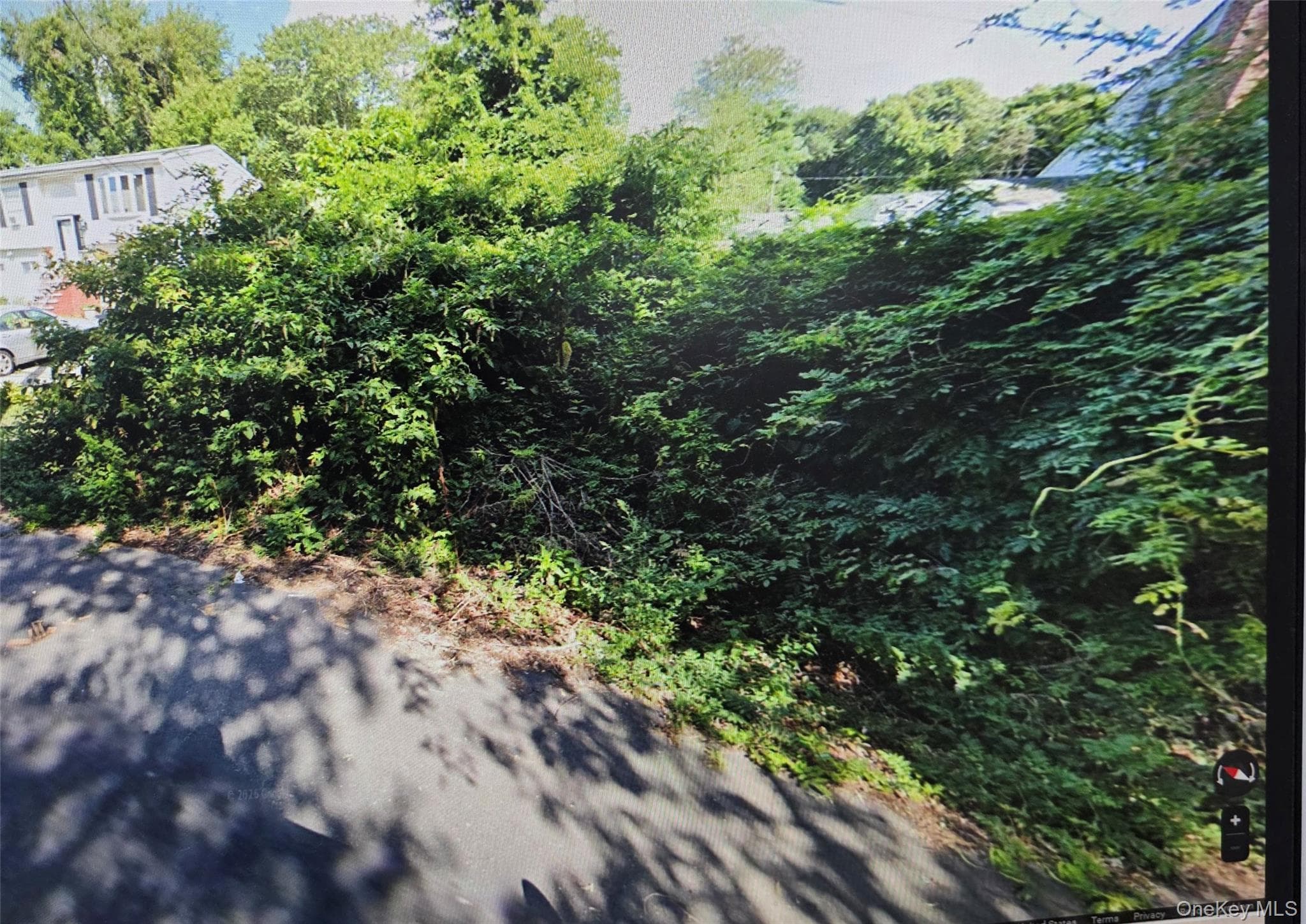 11 Cypress Street thumbnail 3