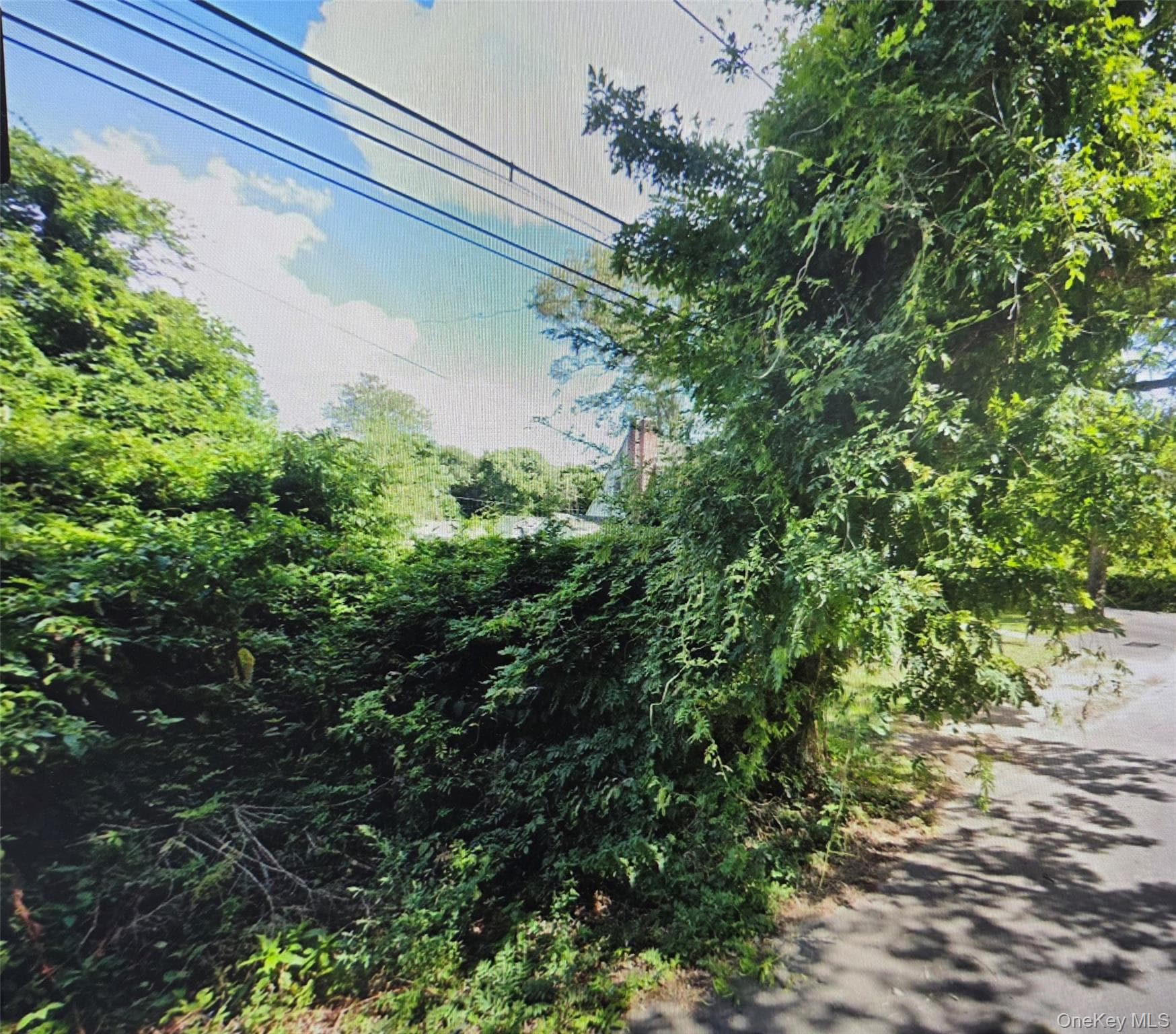 11 Cypress Street thumbnail 2