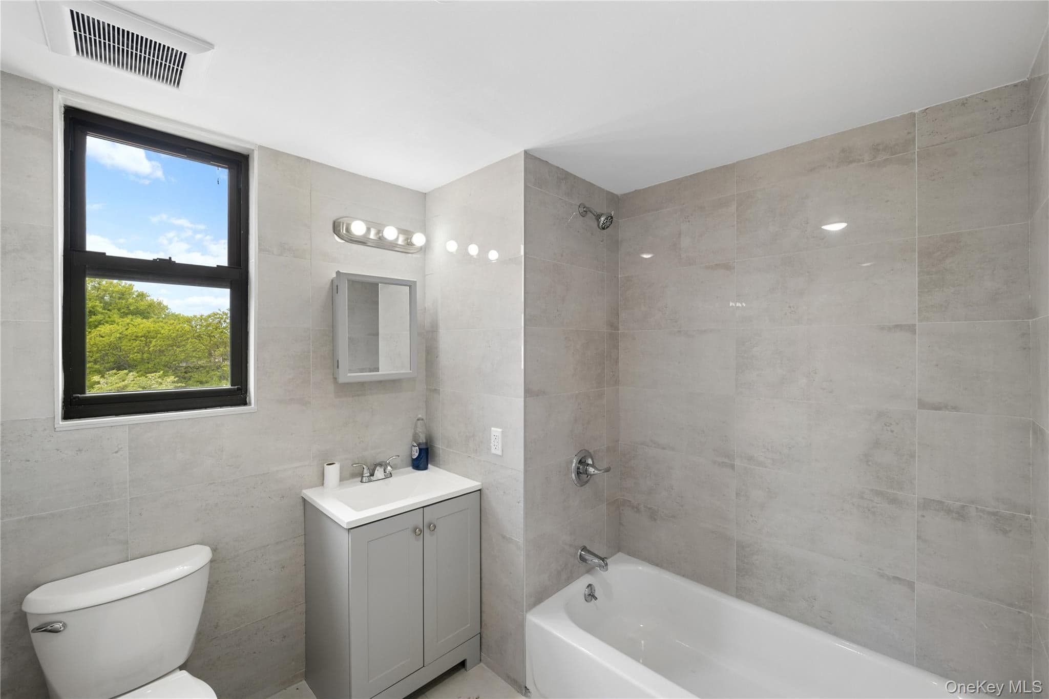 8623 Flatlands Avenue thumbnail 13