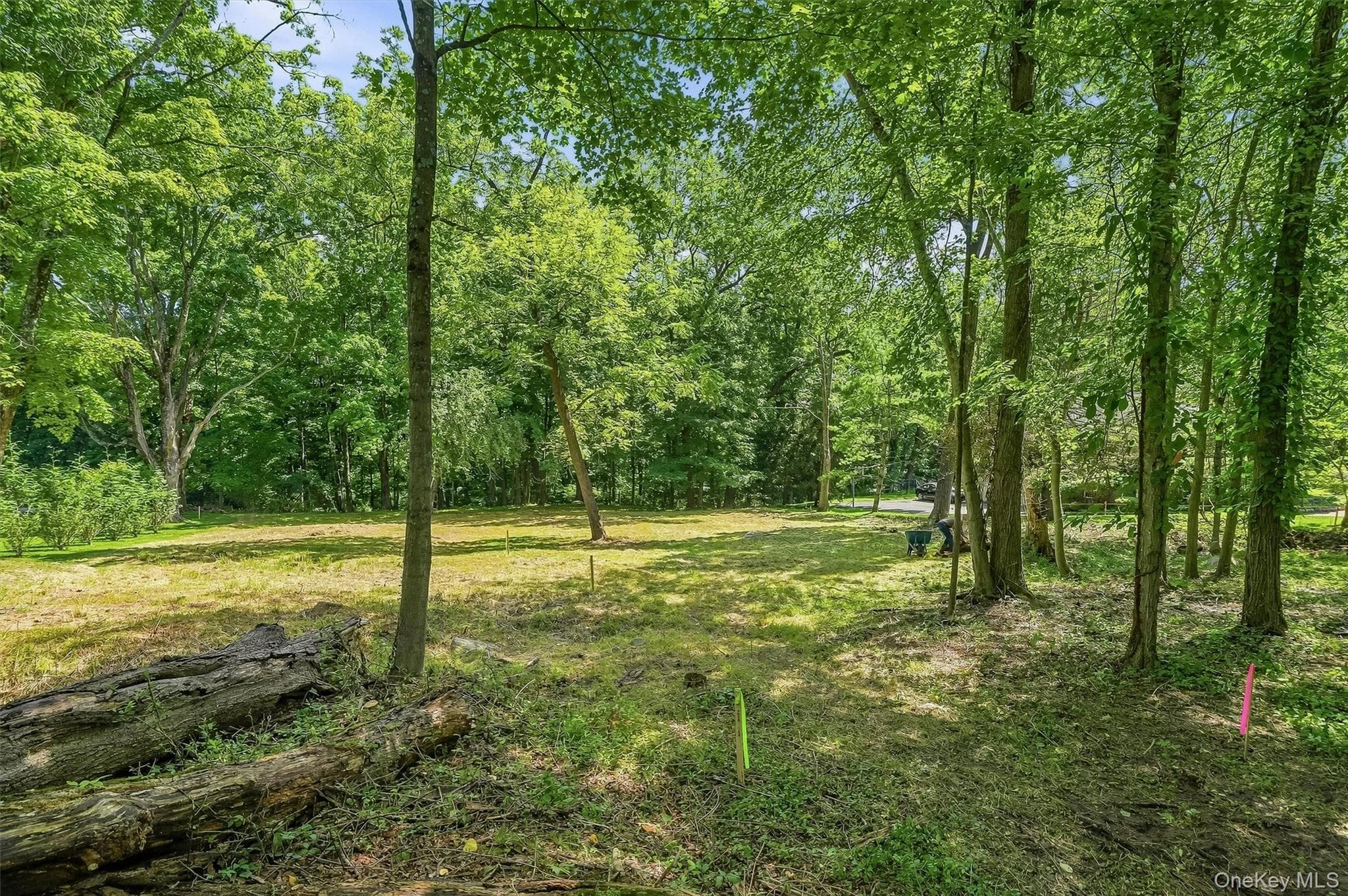 4 Davidson Drive thumbnail 8