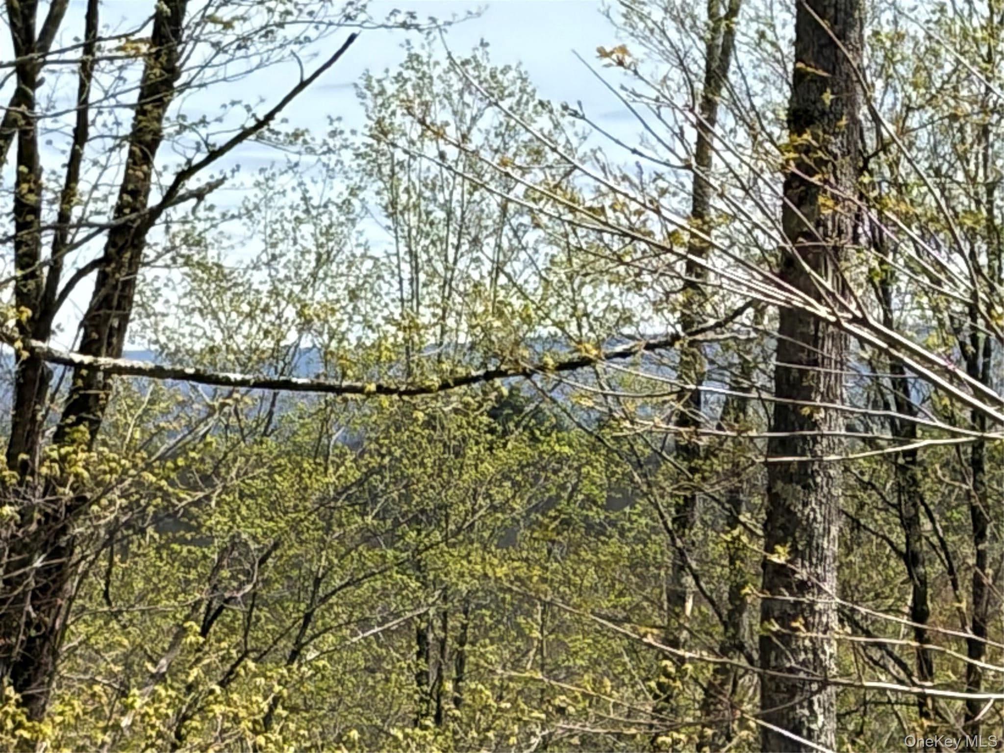 209 Stream Hollow Rd thumbnail 25