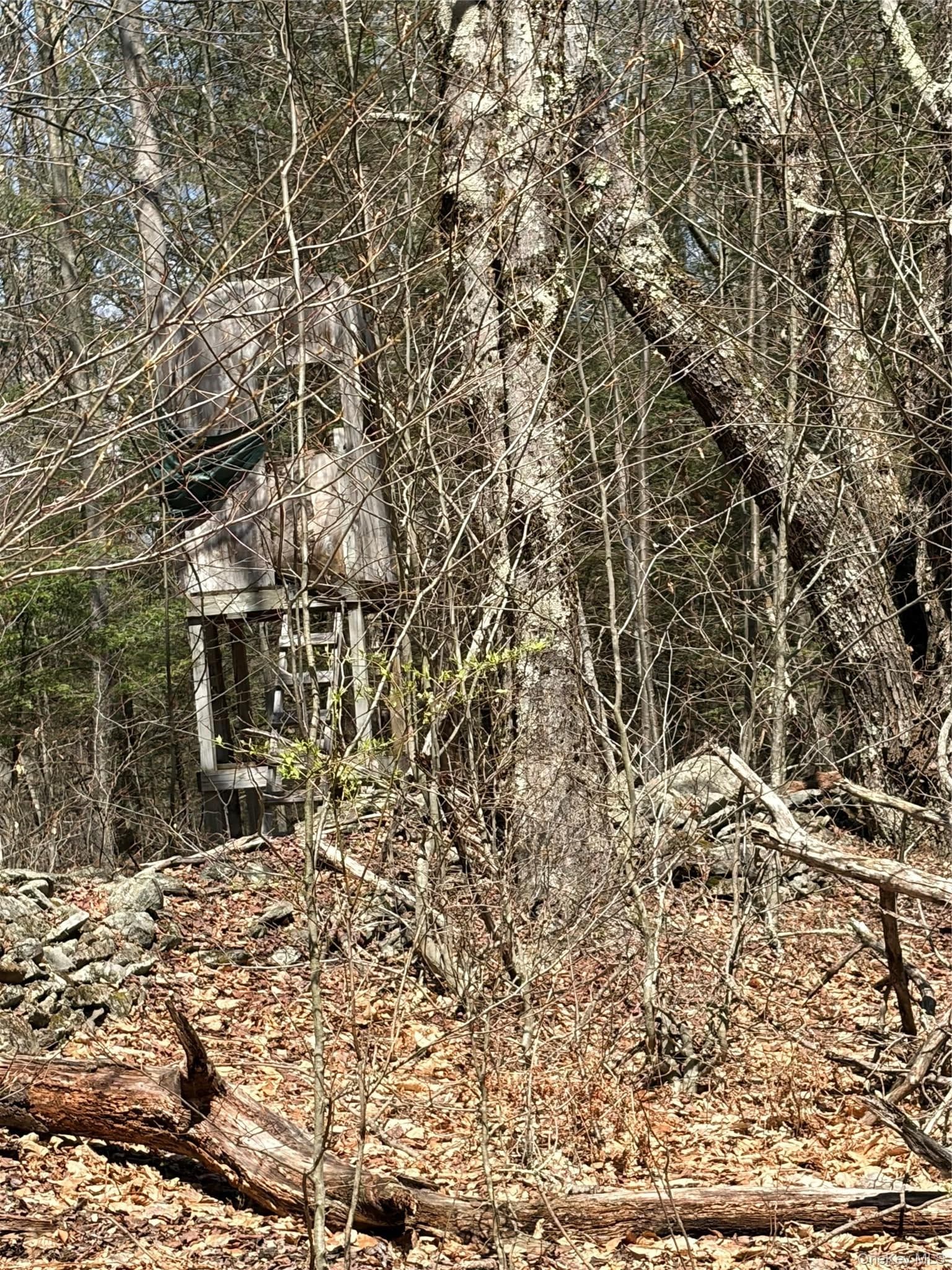 209 Stream Hollow Rd thumbnail 15