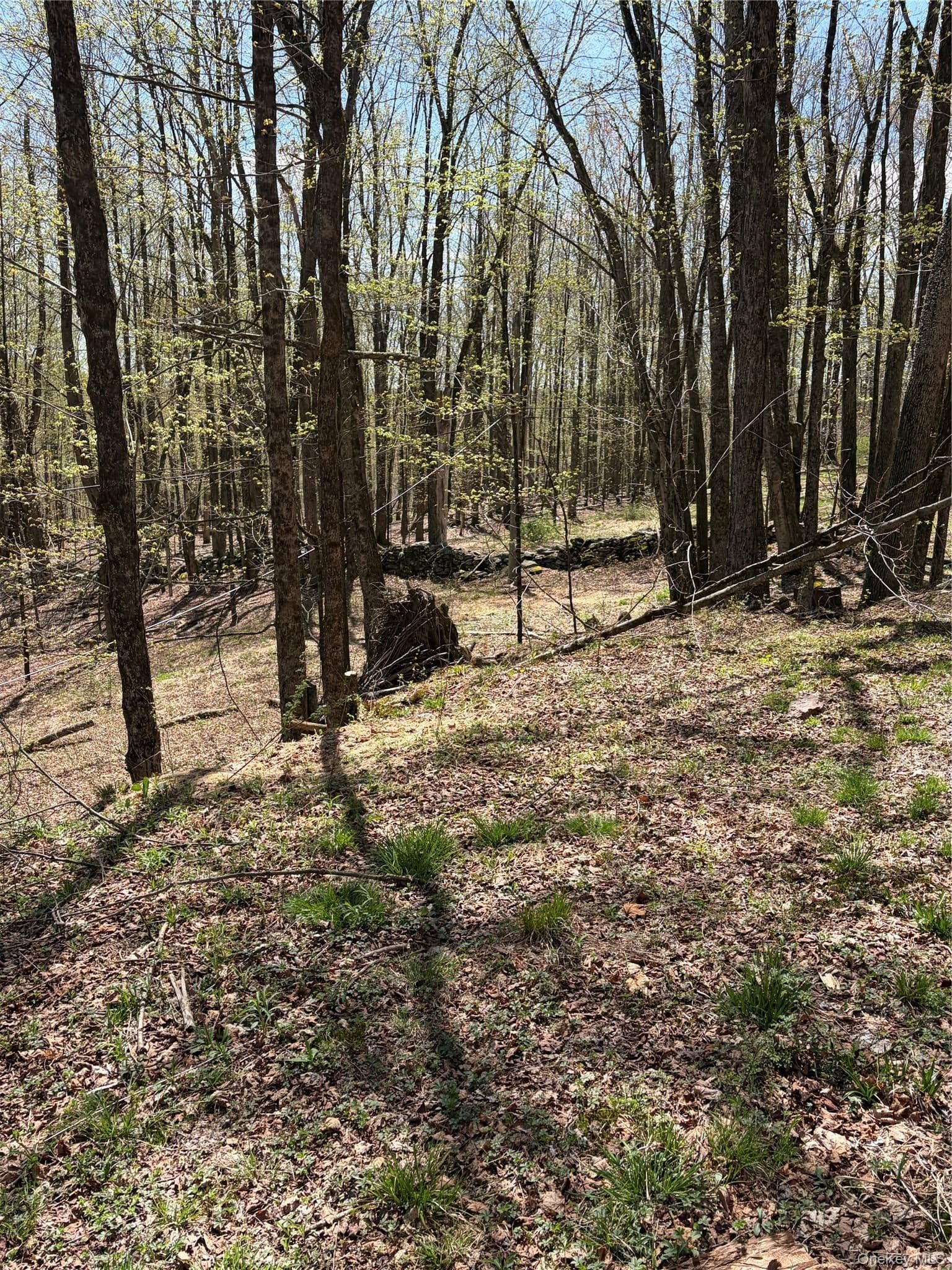 209 Stream Hollow Rd thumbnail 4