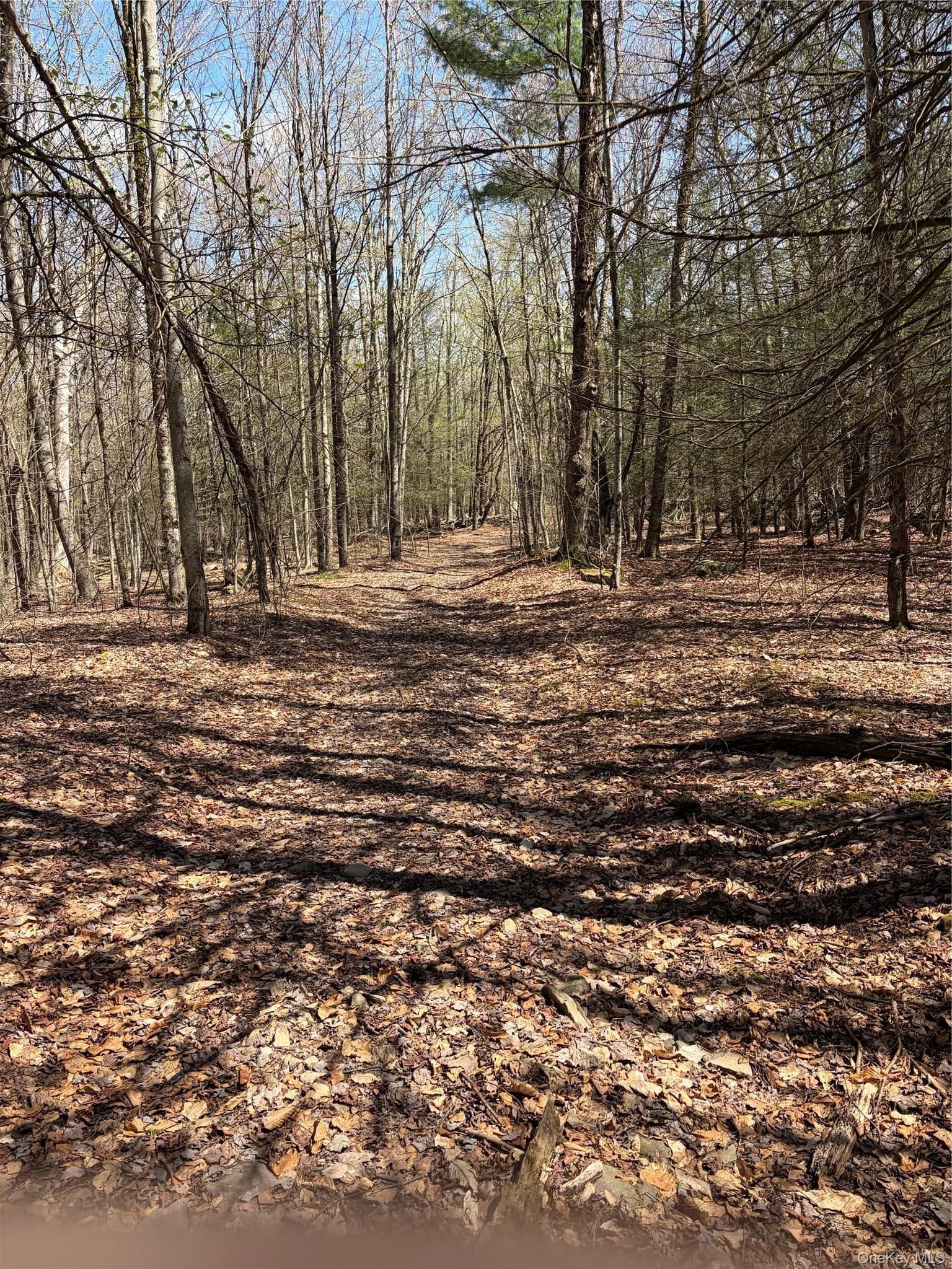209 Stream Hollow Rd thumbnail 27