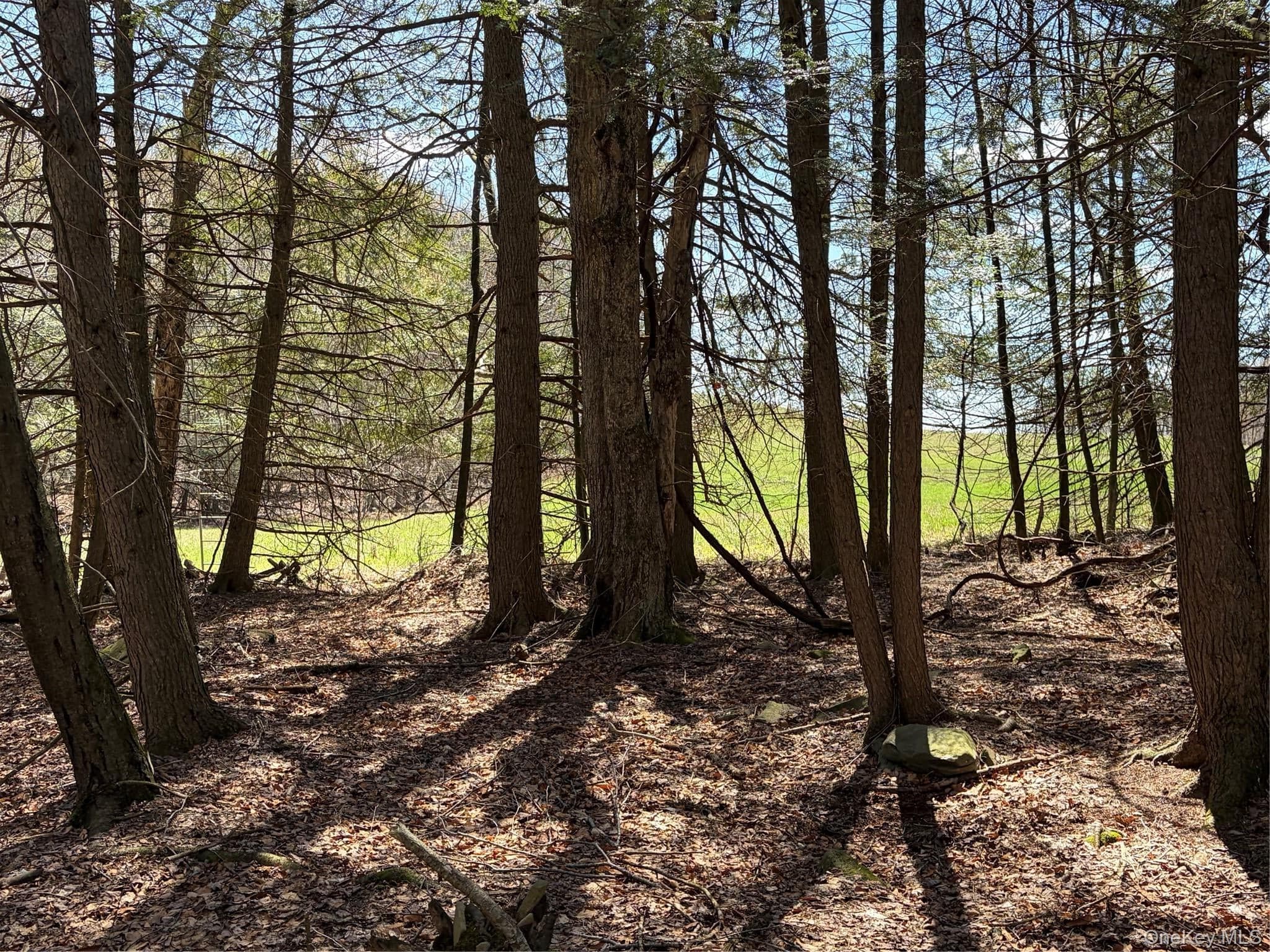 209 Stream Hollow Rd thumbnail 24