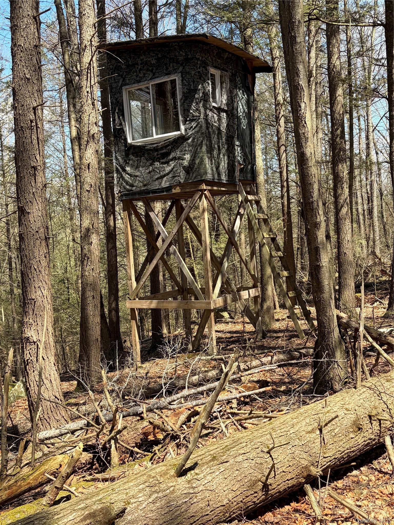 209 Stream Hollow Rd thumbnail 21