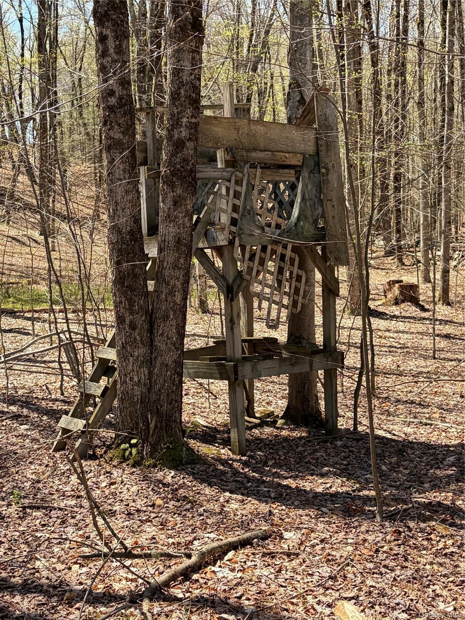 209 Stream Hollow Rd thumbnail 14