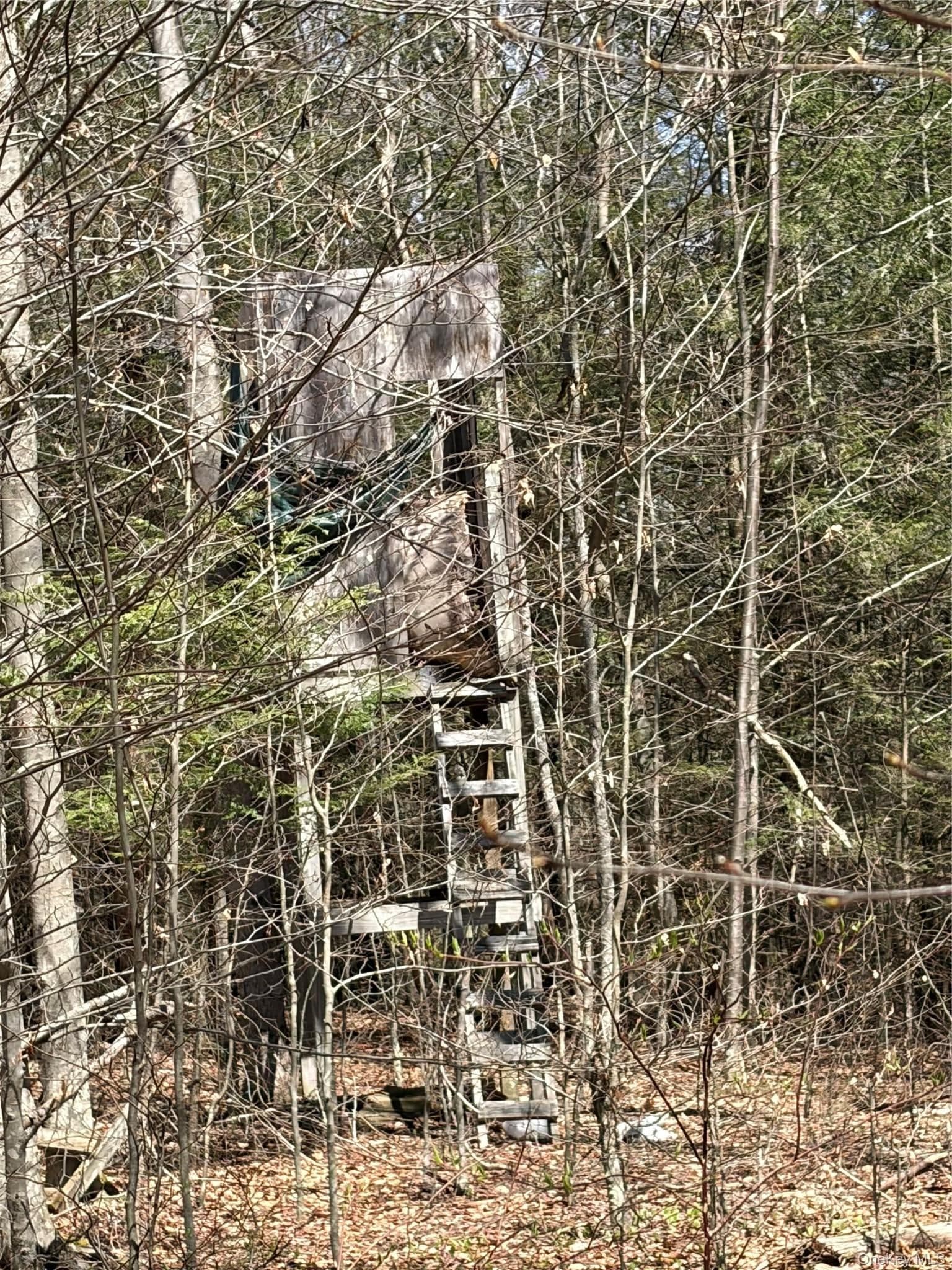 209 Stream Hollow Rd thumbnail 16