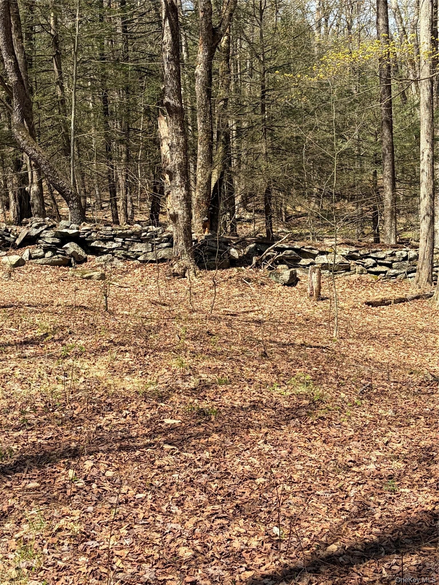 209 Stream Hollow Rd thumbnail 10