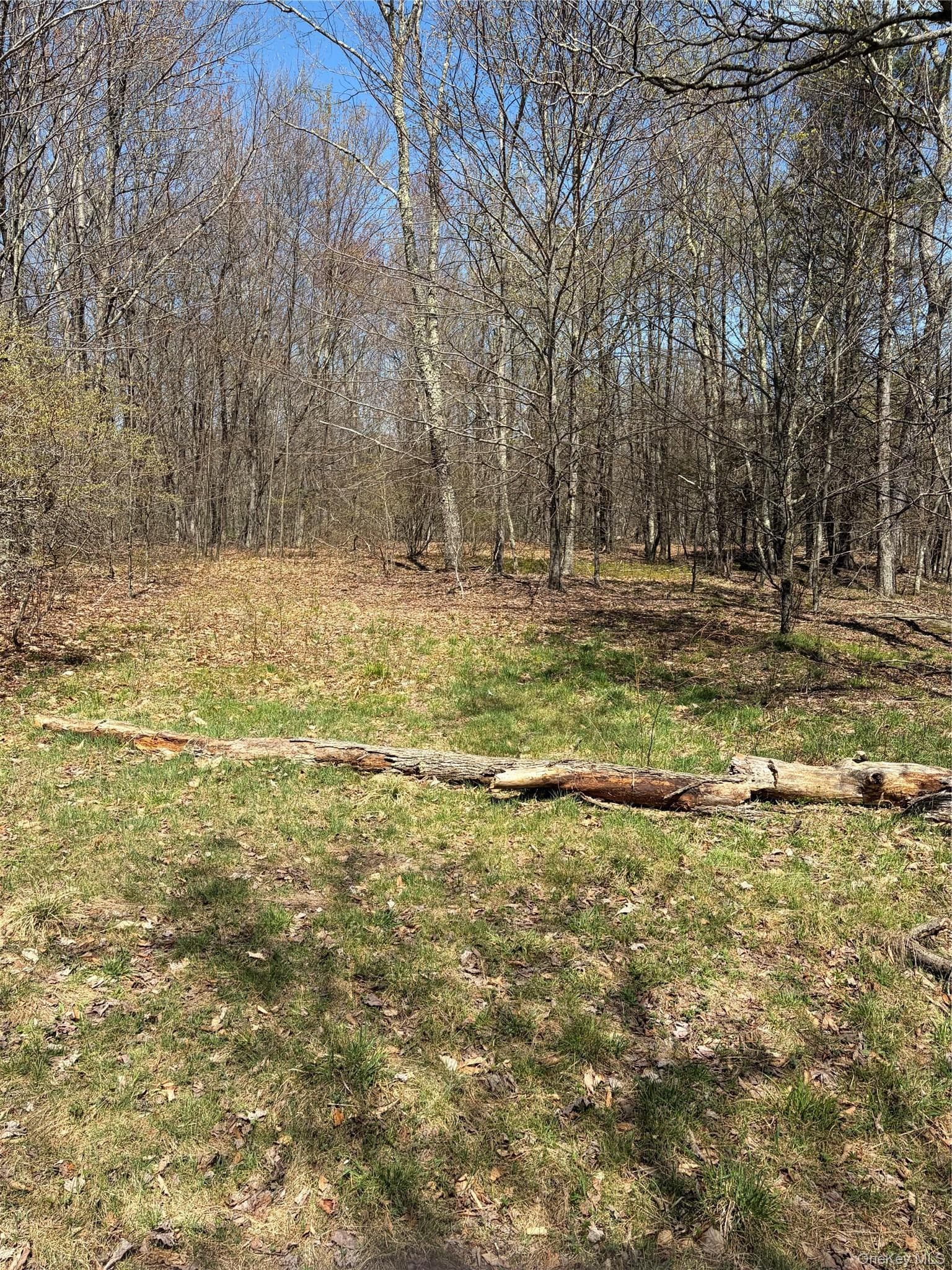 209 Stream Hollow Rd thumbnail 7