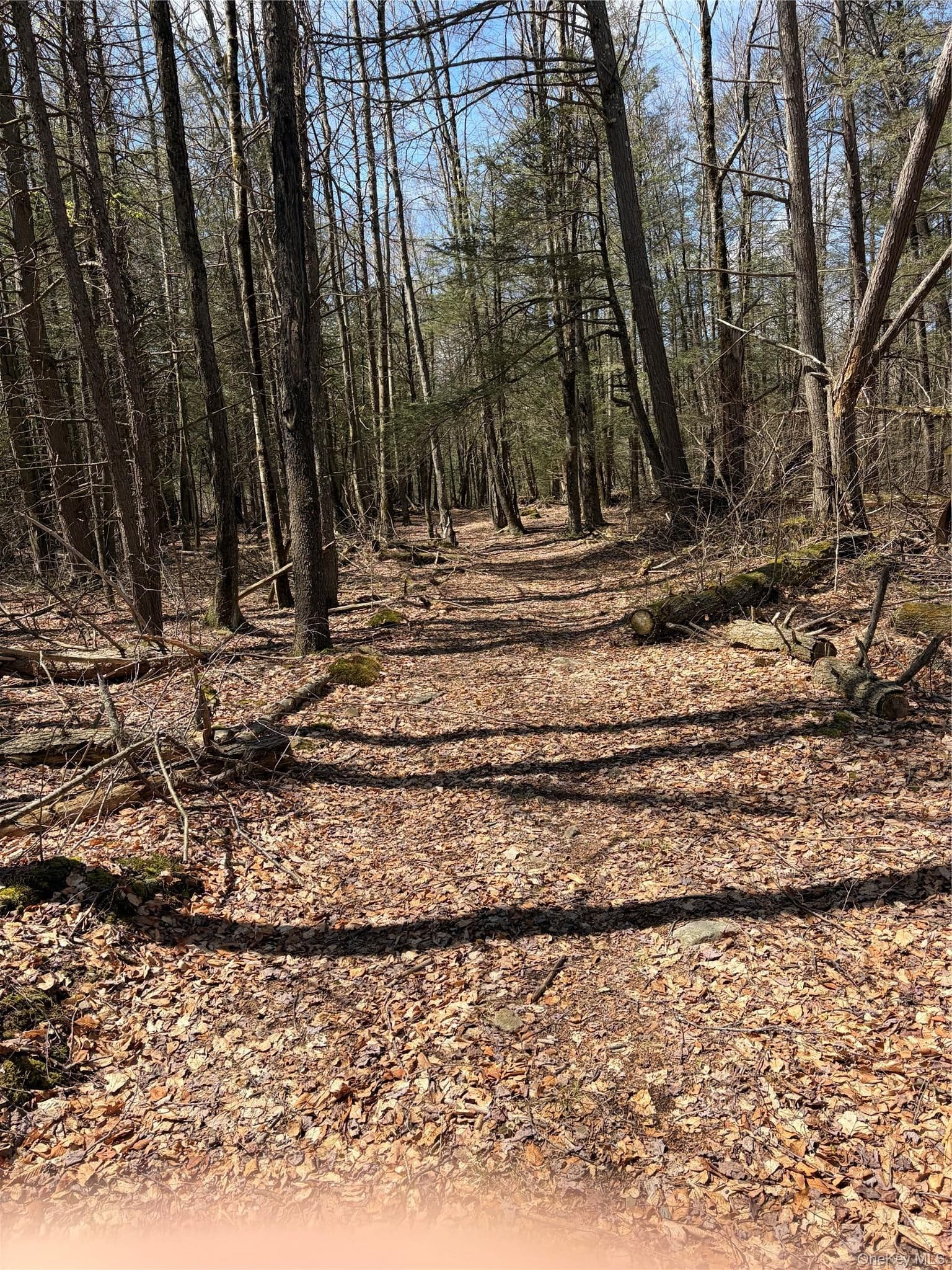 209 Stream Hollow Rd thumbnail 17