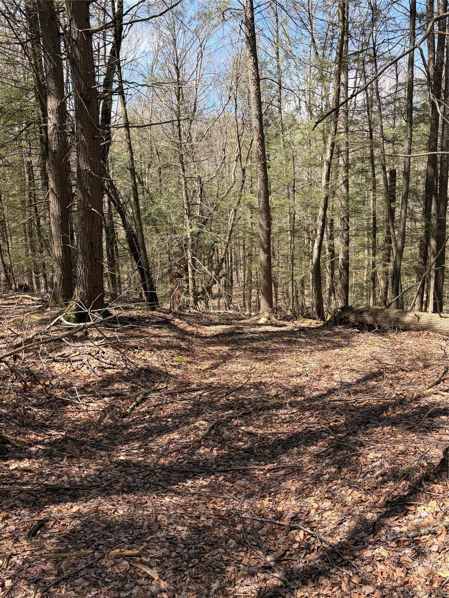 209 Stream Hollow Rd thumbnail 20