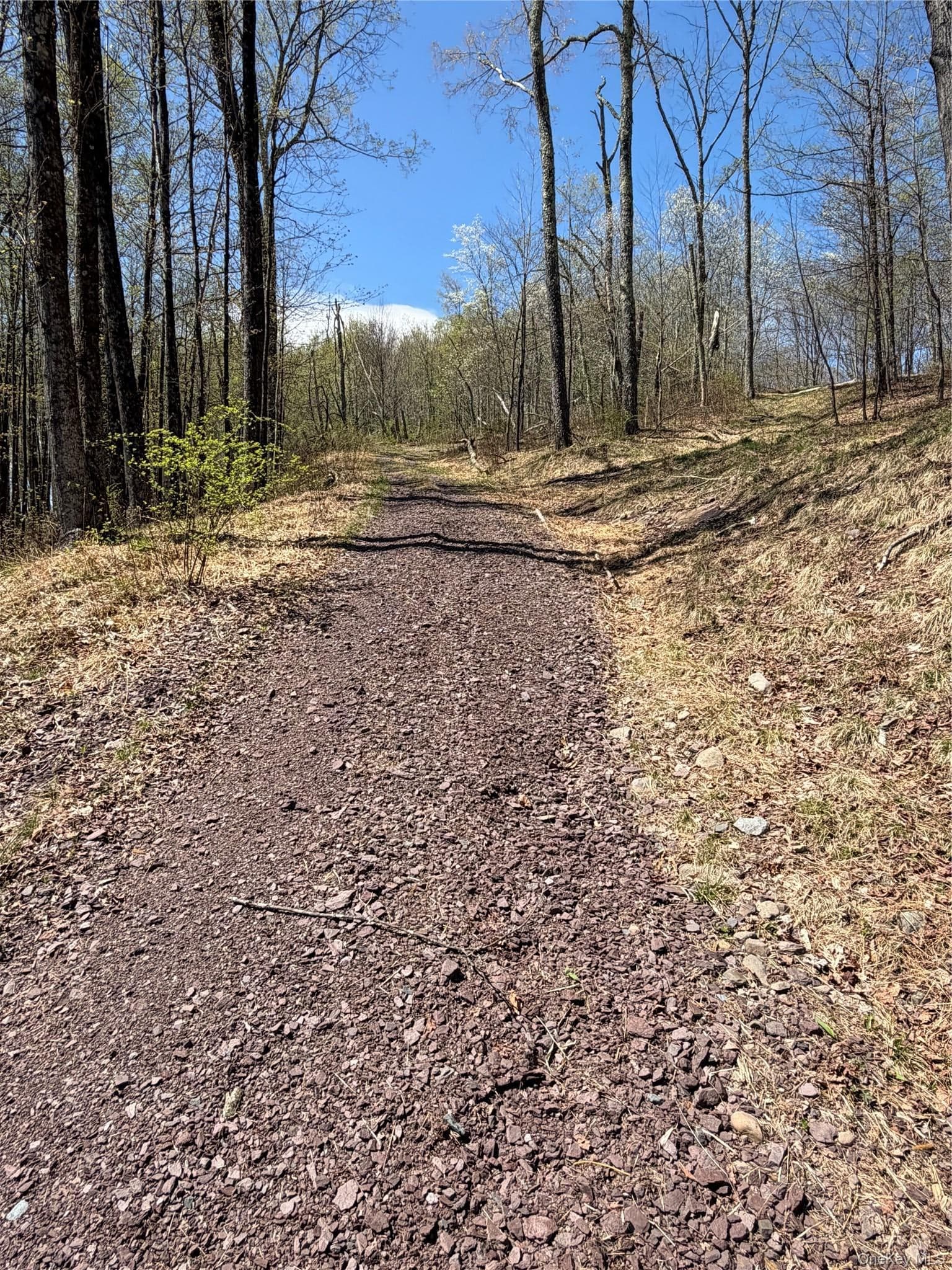 209 Stream Hollow Rd thumbnail 5