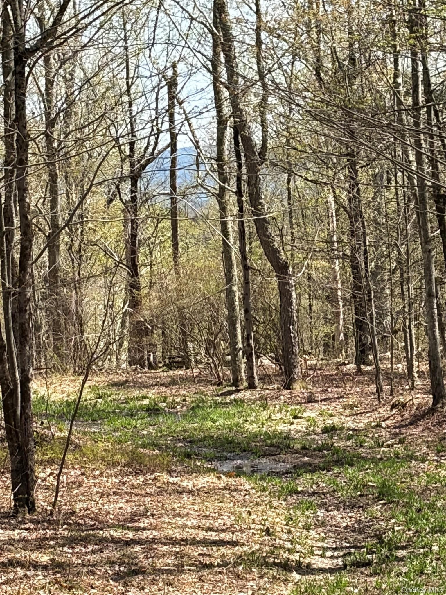209 Stream Hollow Rd thumbnail 26