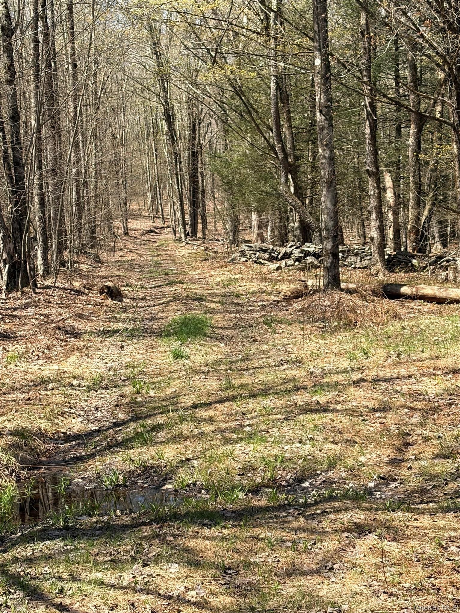 209 Stream Hollow Rd thumbnail 12