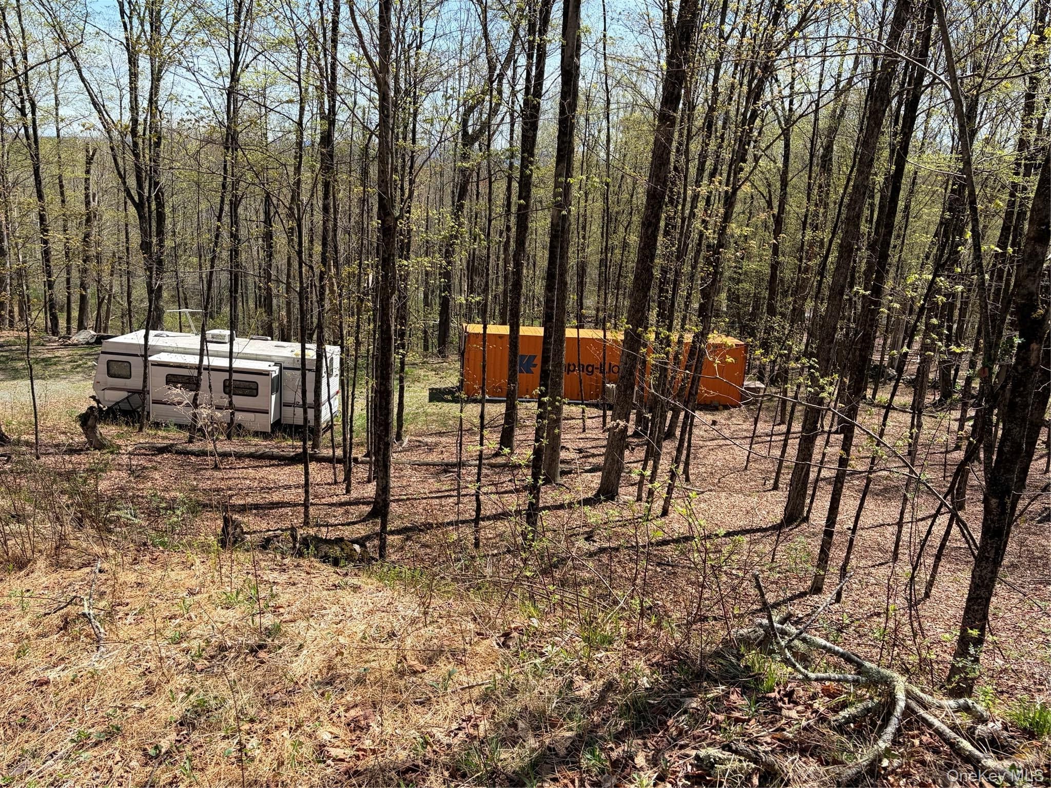 209 Stream Hollow Rd thumbnail 6