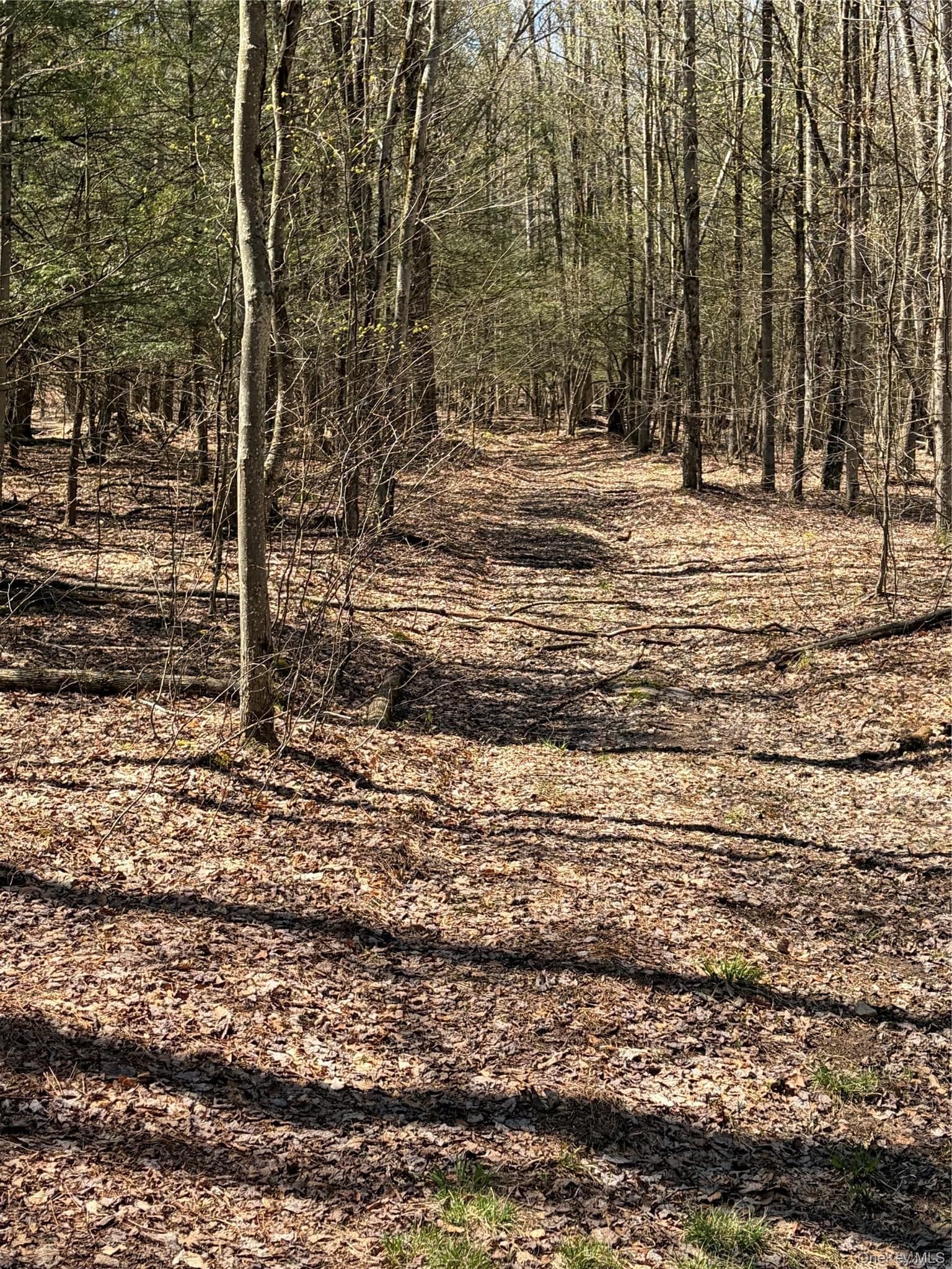 209 Stream Hollow Rd thumbnail 22