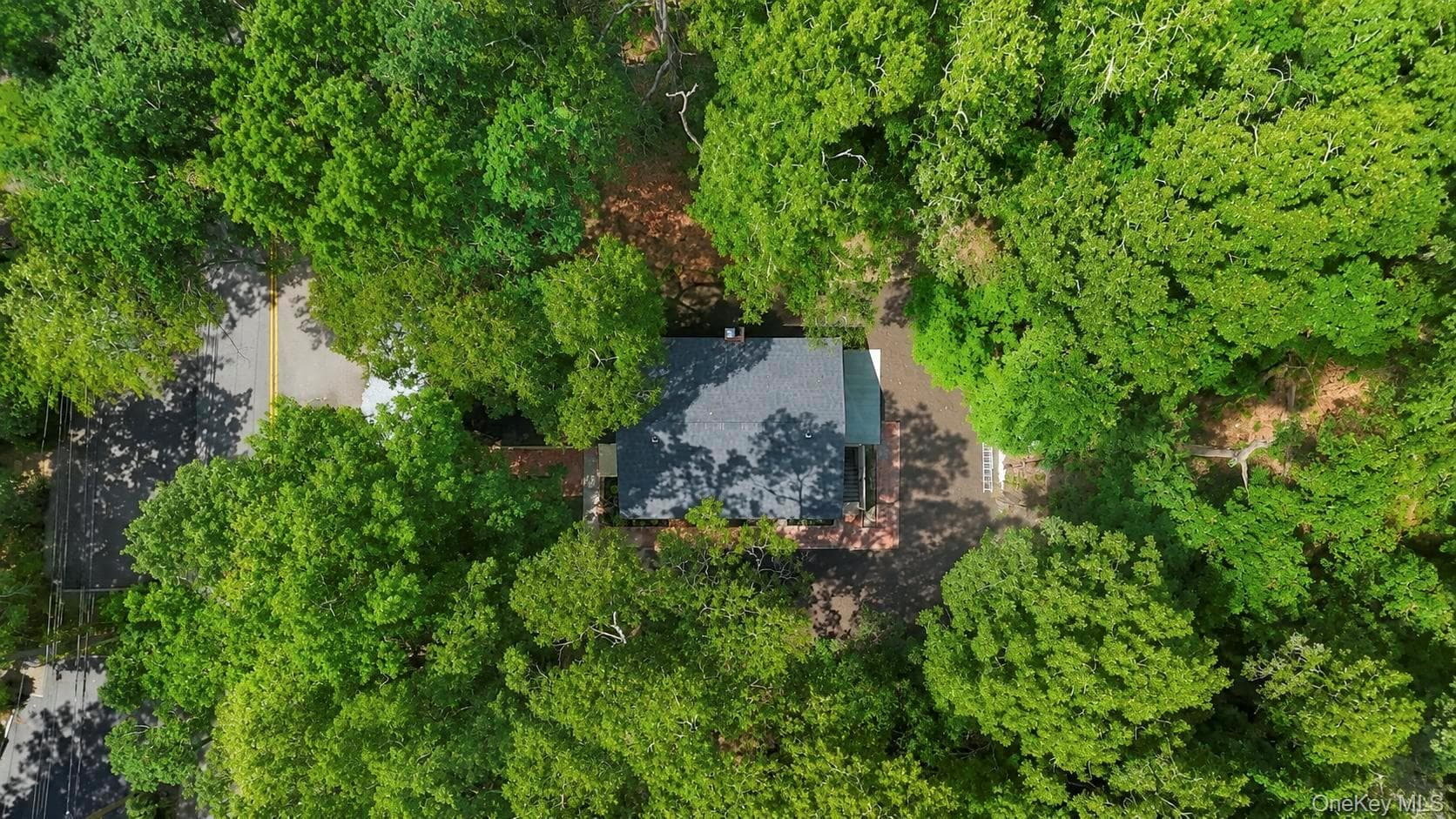 234 Lakeside Trail thumbnail 5