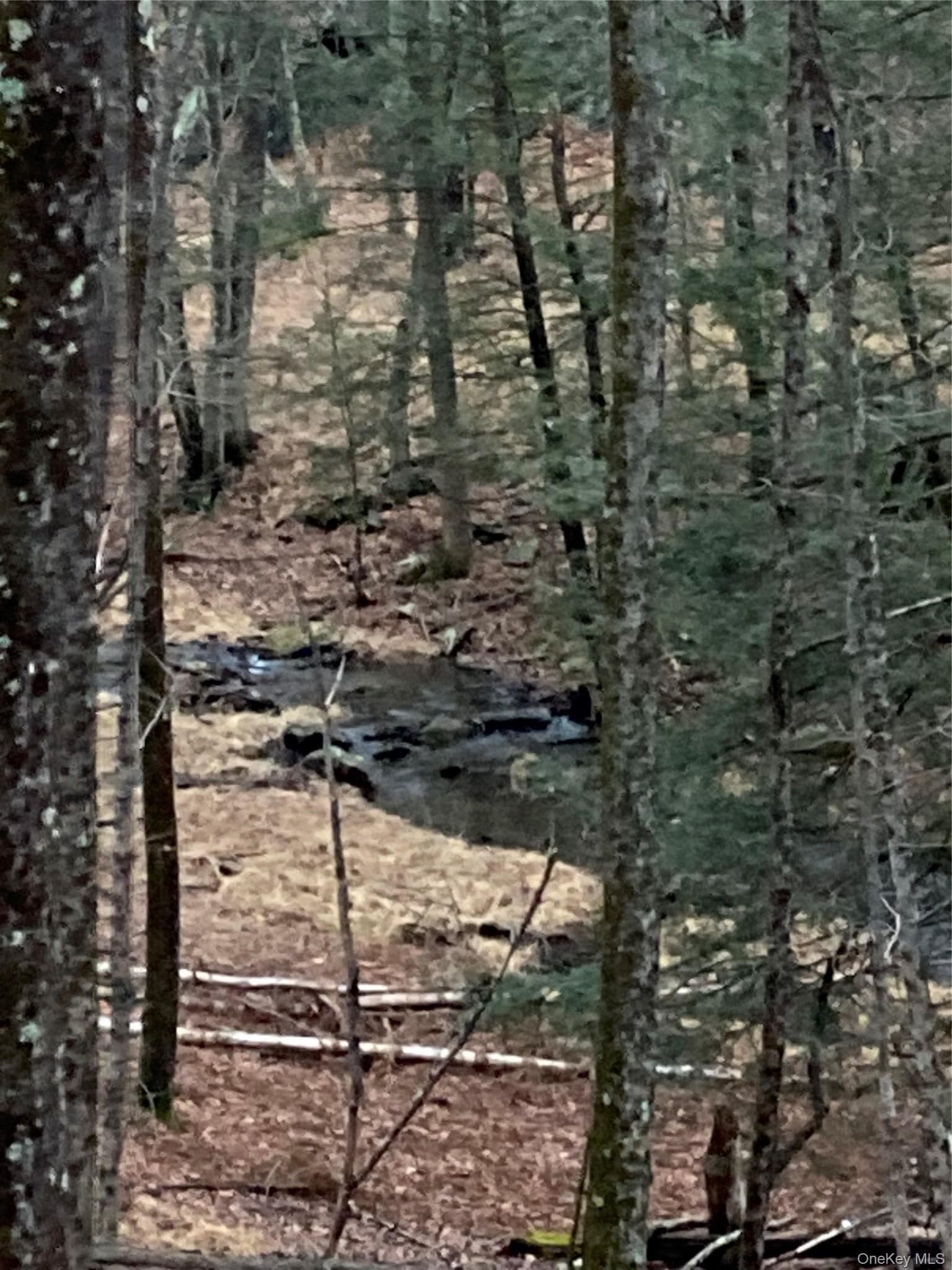 Red Hill Road thumbnail 8