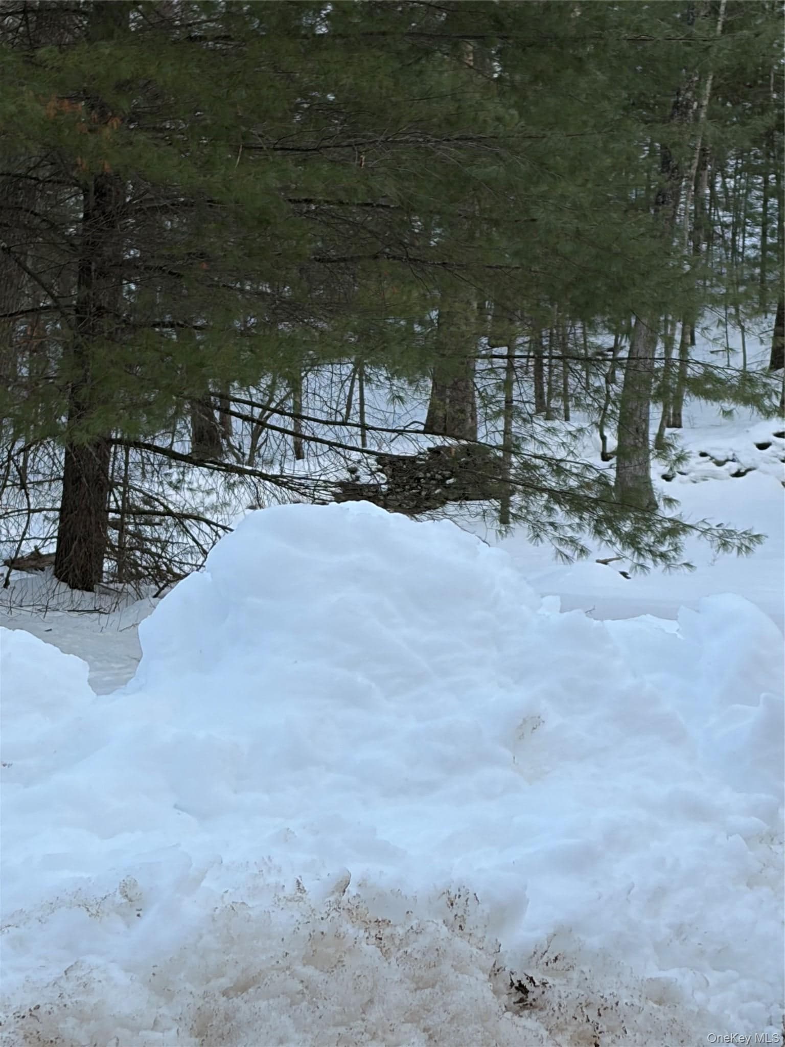 Red Hill Road thumbnail 21