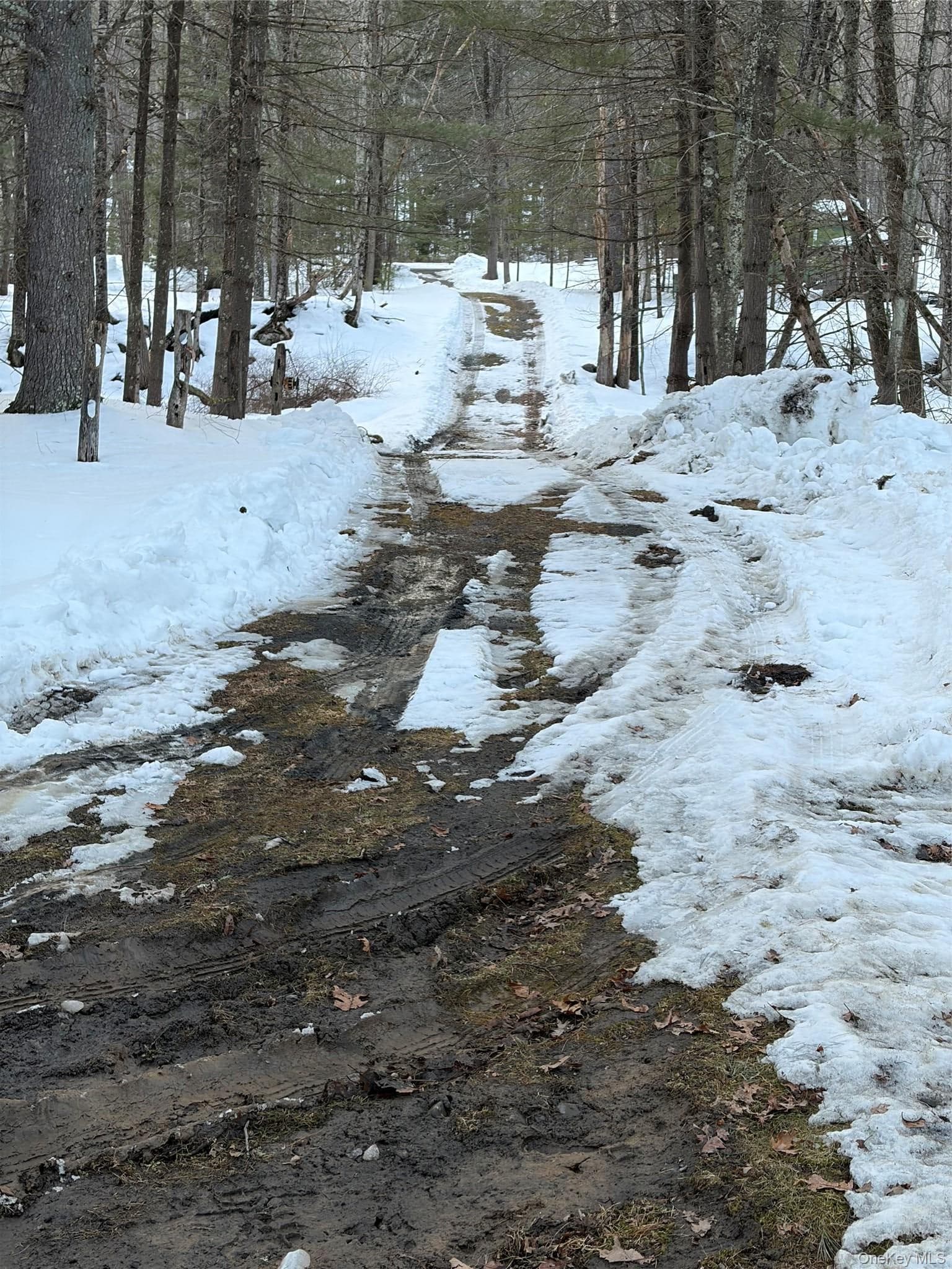 Red Hill Road thumbnail 17