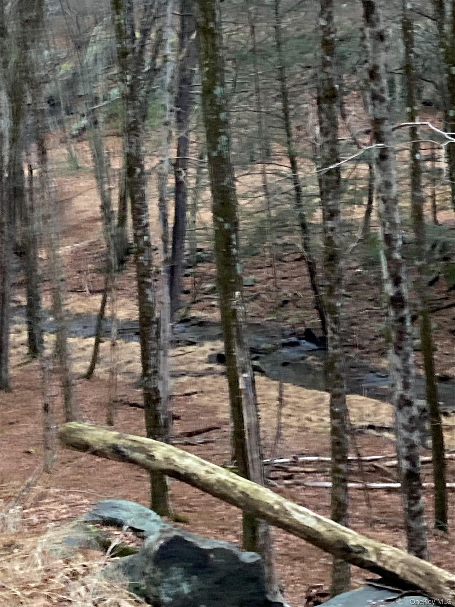 Red Hill Road thumbnail 10