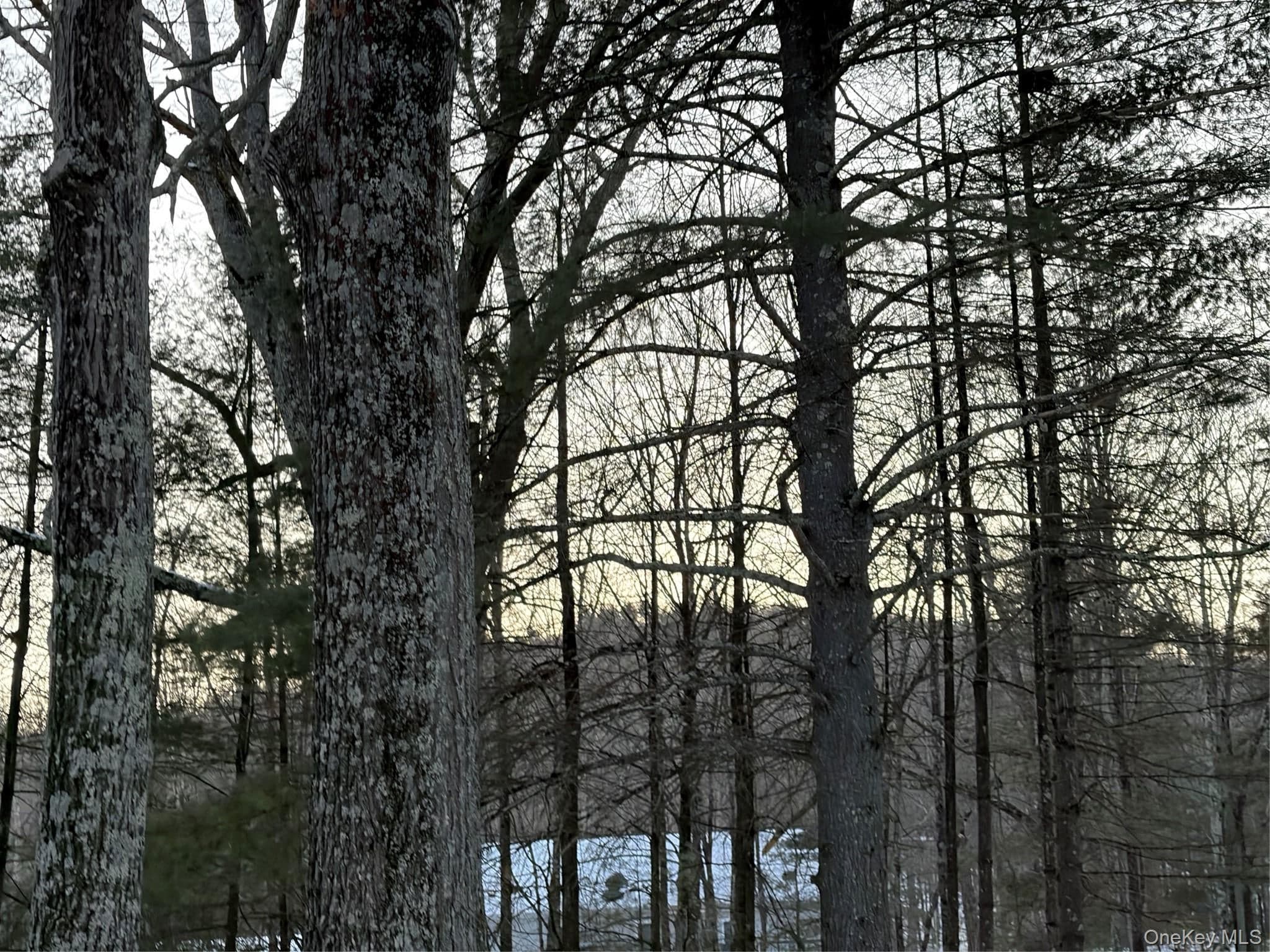 Red Hill Road thumbnail 26