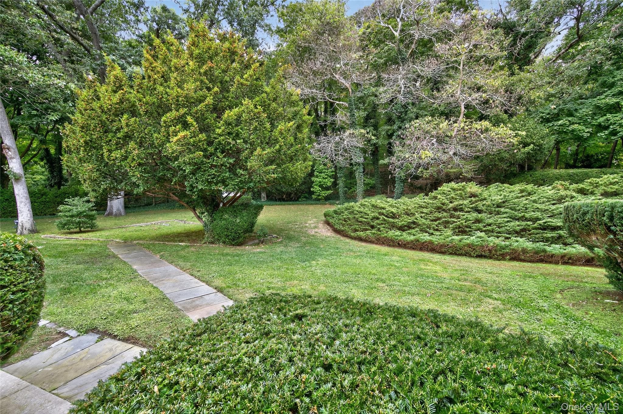 634 Park Avenue thumbnail 44