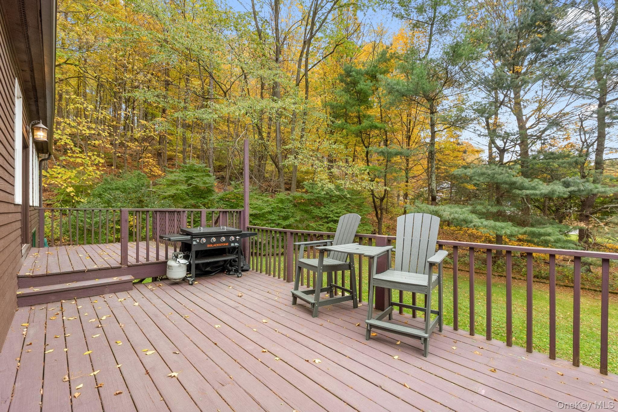 17 Curtis DR thumbnail 46