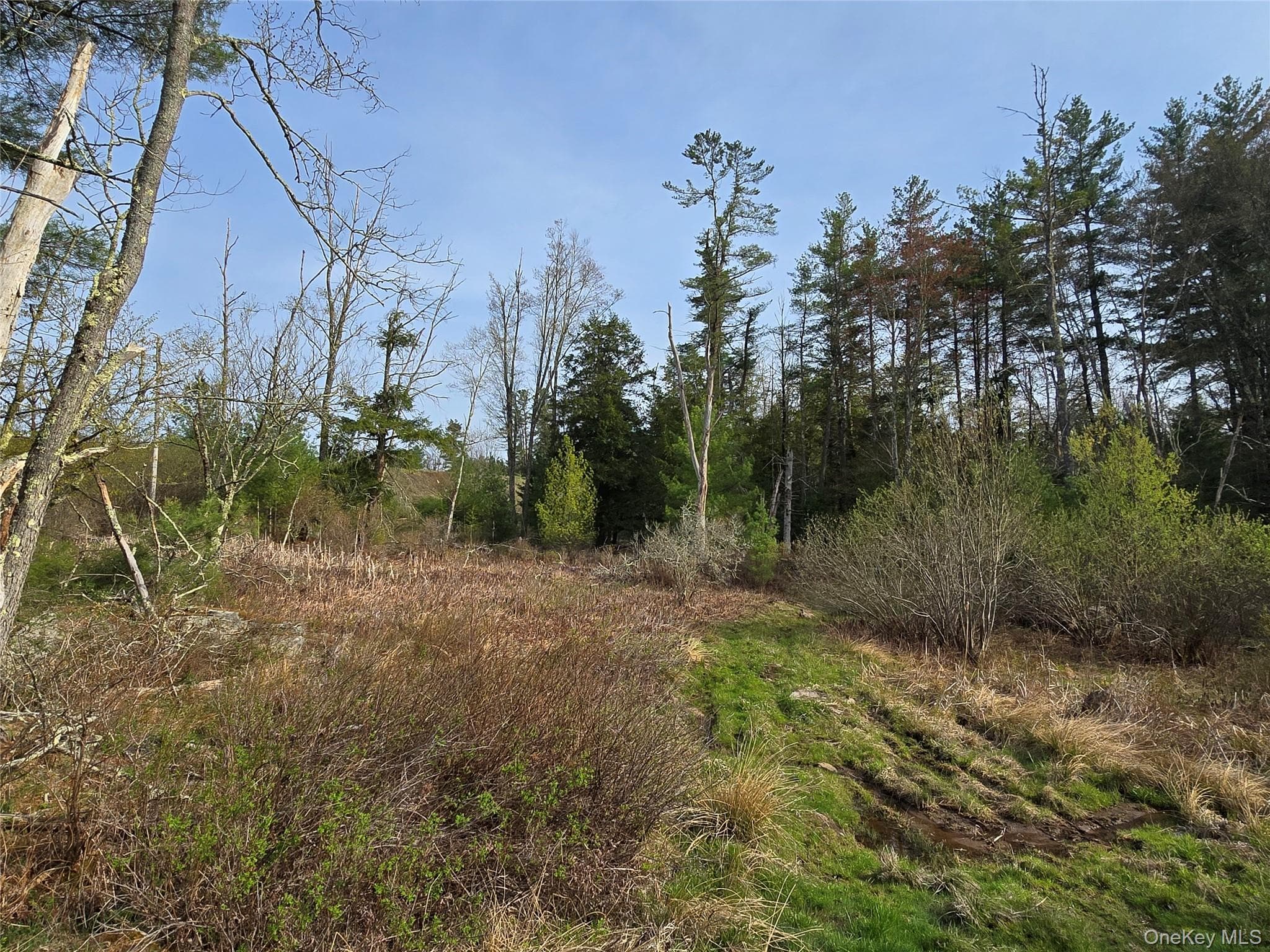 #TBD Nys Route 17b thumbnail 24