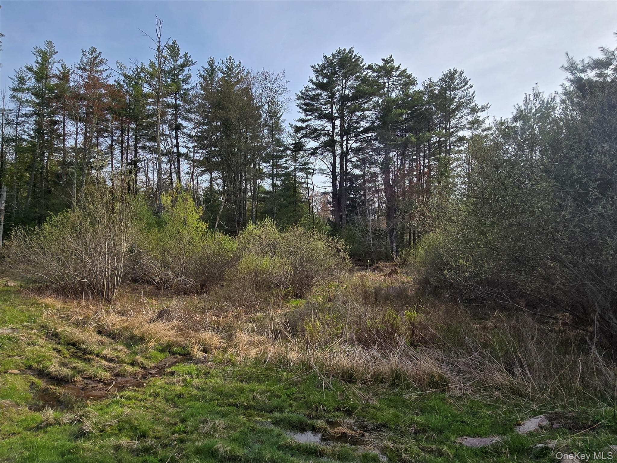#TBD Nys Route 17b thumbnail 23