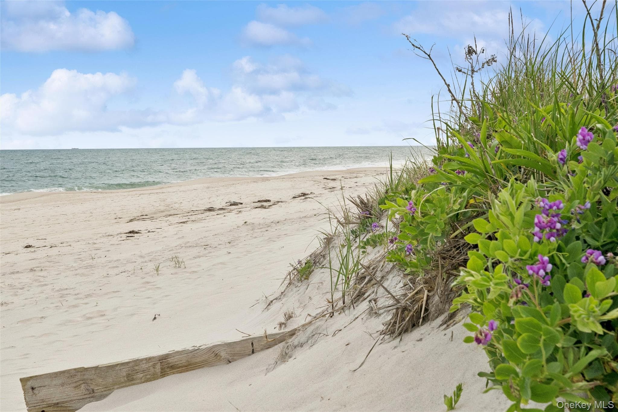 281 Dune Road Unit: 17B thumbnail 25