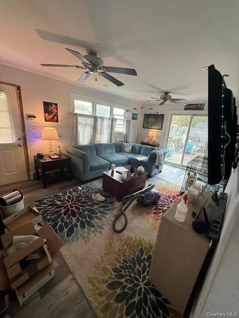 10 Whittier Drive thumbnail 4