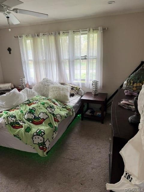 10 Whittier Drive thumbnail 6