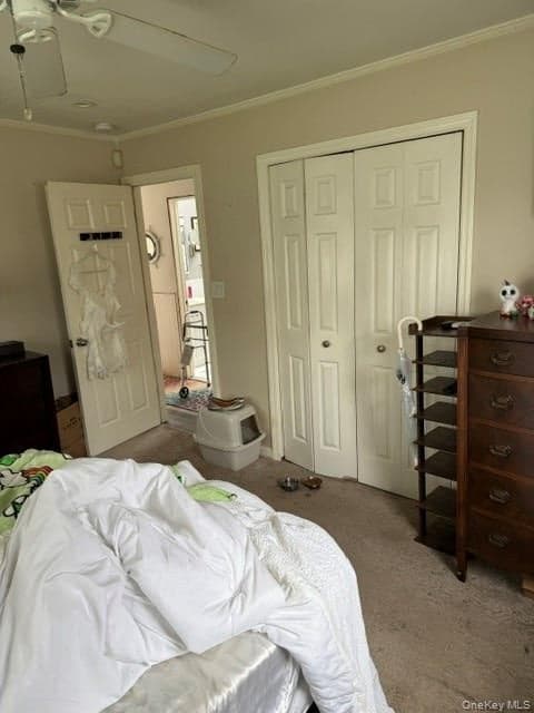 10 Whittier Drive thumbnail 7