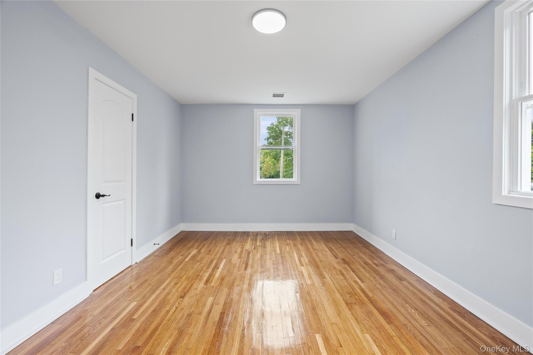 81 Rowe Avenue thumbnail 20