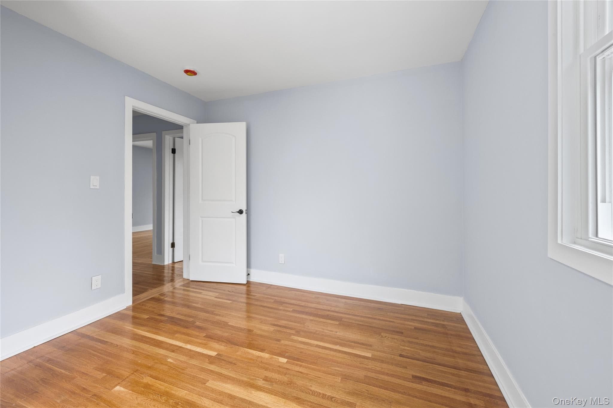 81 Rowe Avenue thumbnail 18