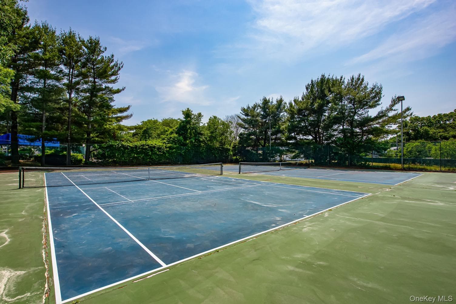 85 Richmond Boulevard Unit: 1A thumbnail 25