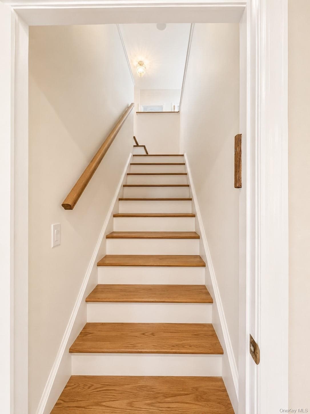 886 Woodmere Drive thumbnail 20