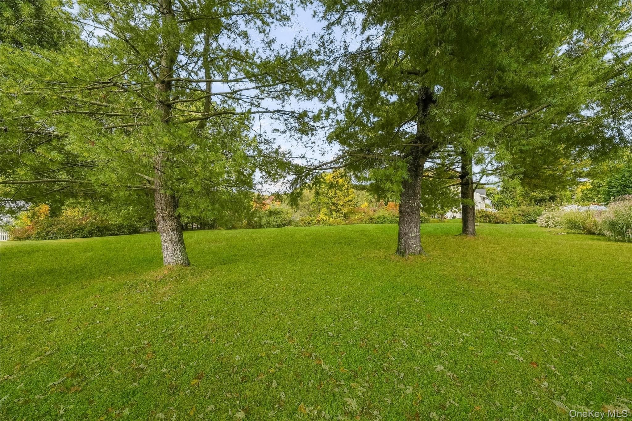 2597 Farsund Drive thumbnail 42