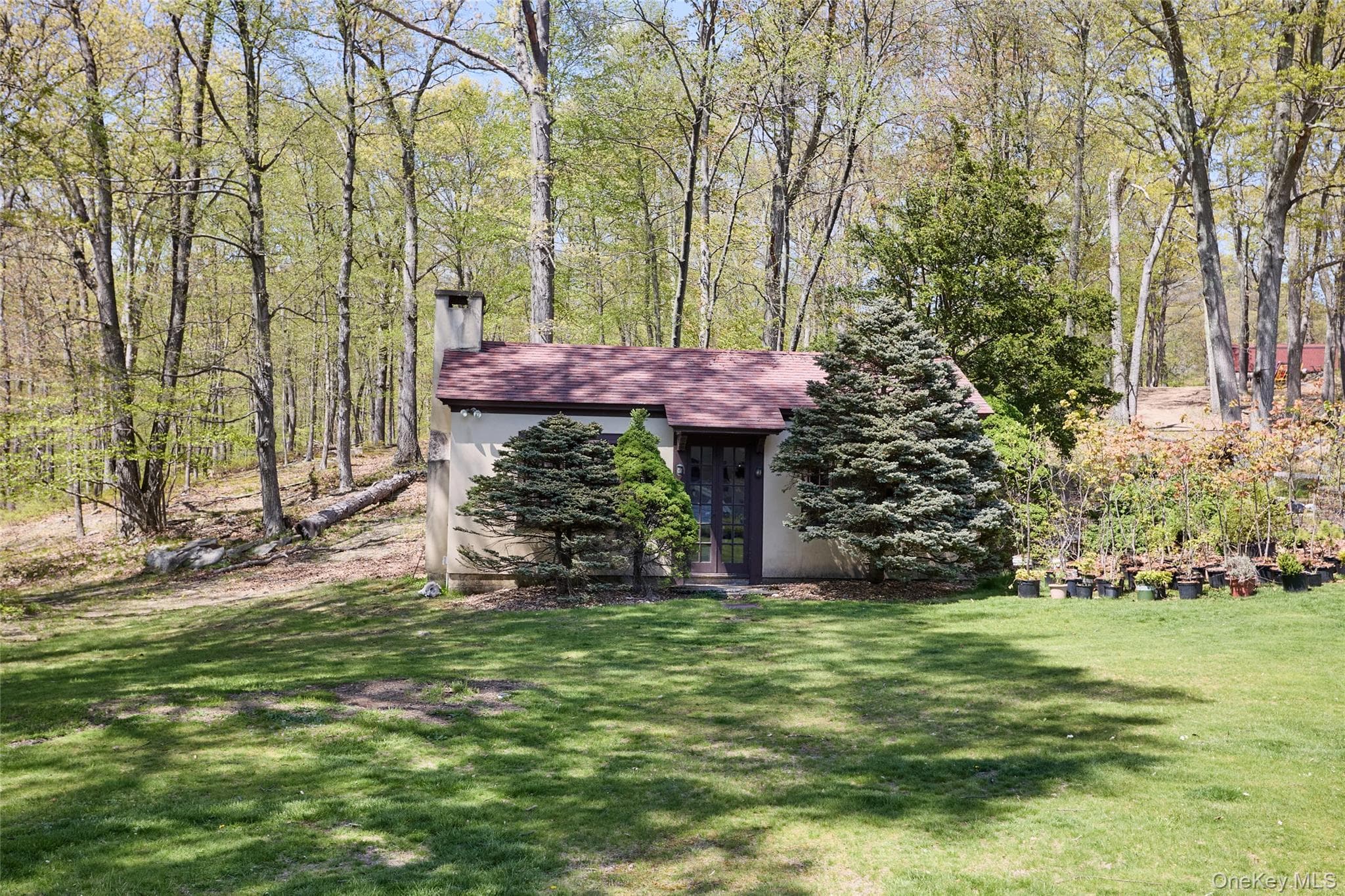 14 Castleton Drive thumbnail 17