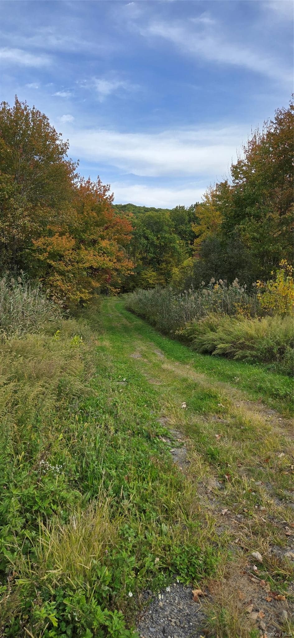 178 Tuckers Corners Road thumbnail 5