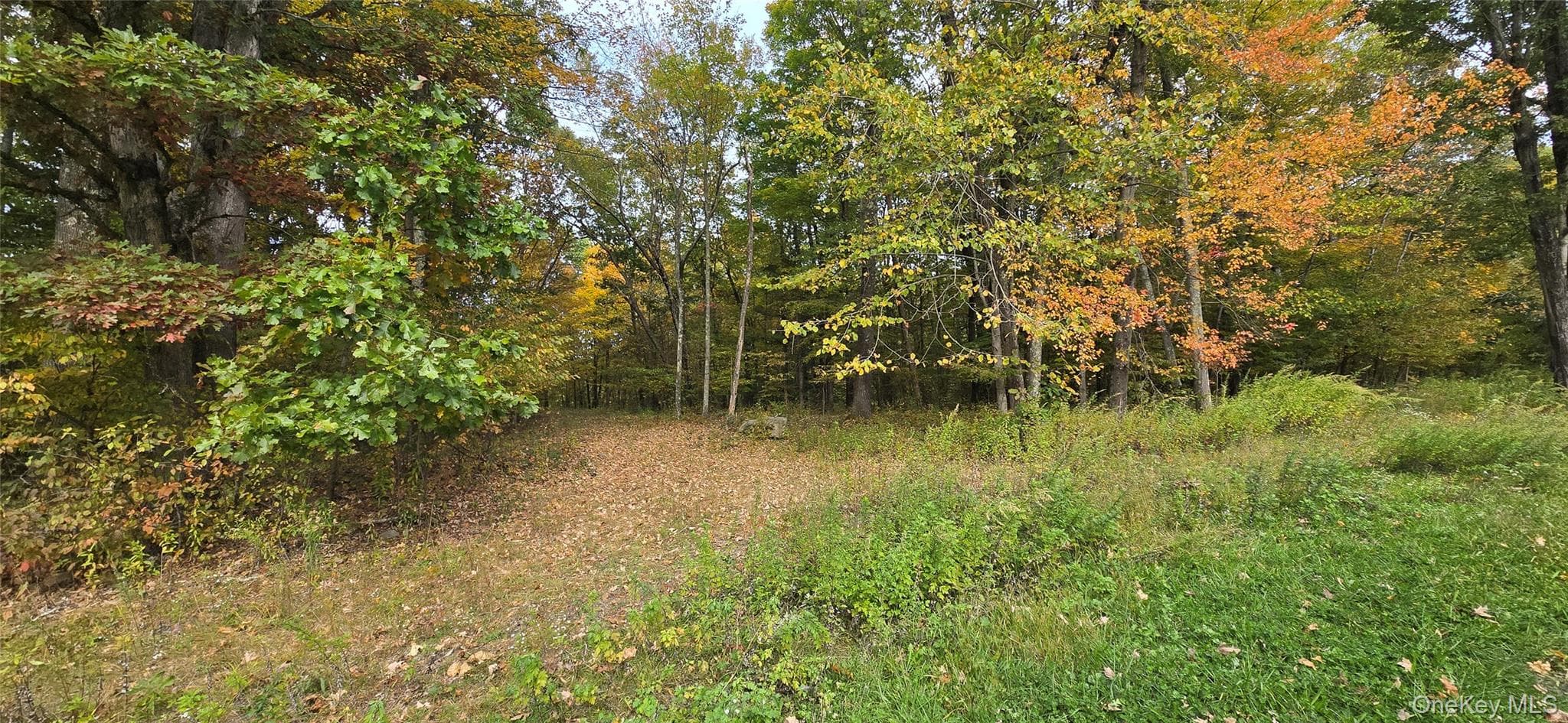 178 Tuckers Corners Road thumbnail 6