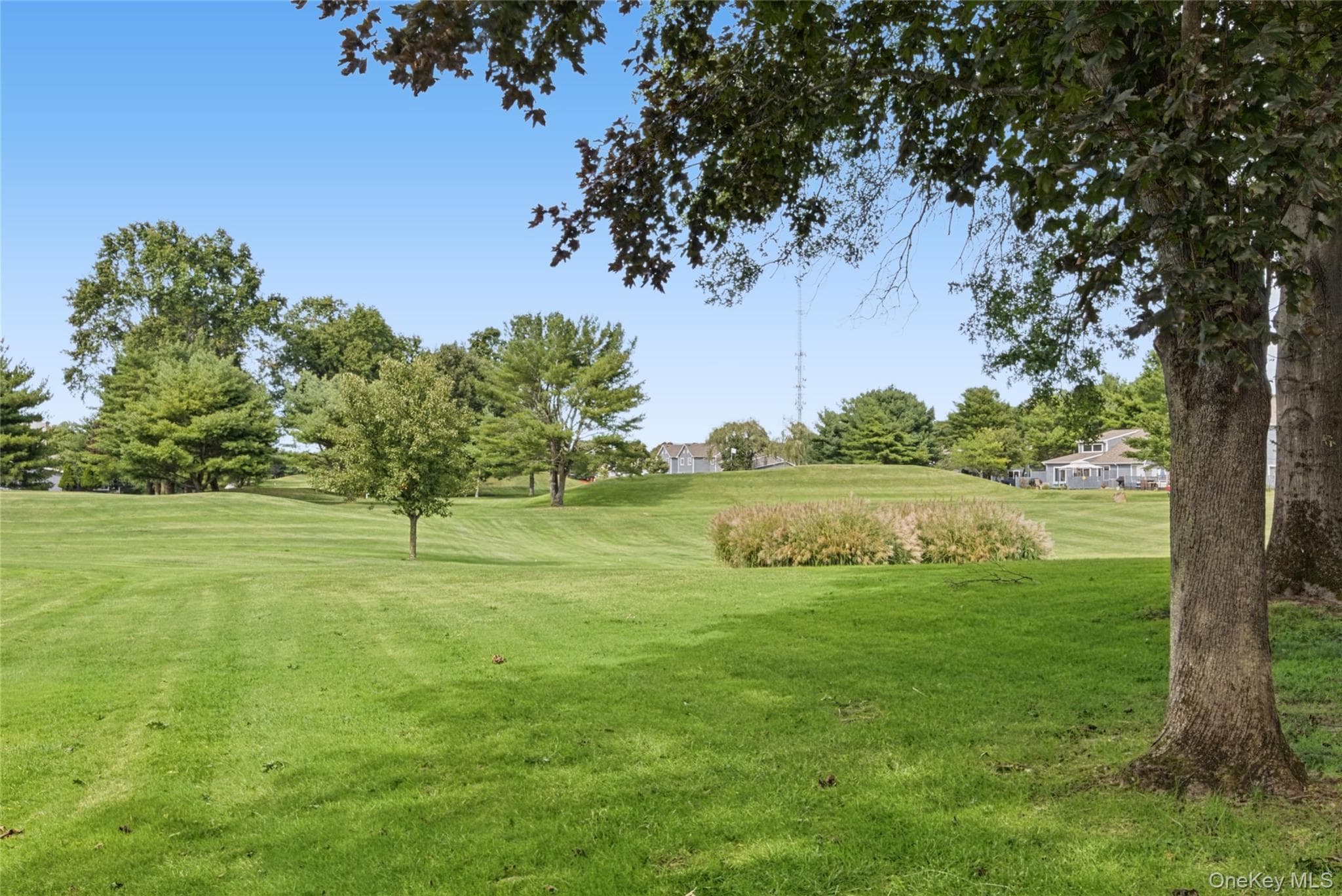 65 Eric Drive thumbnail 36
