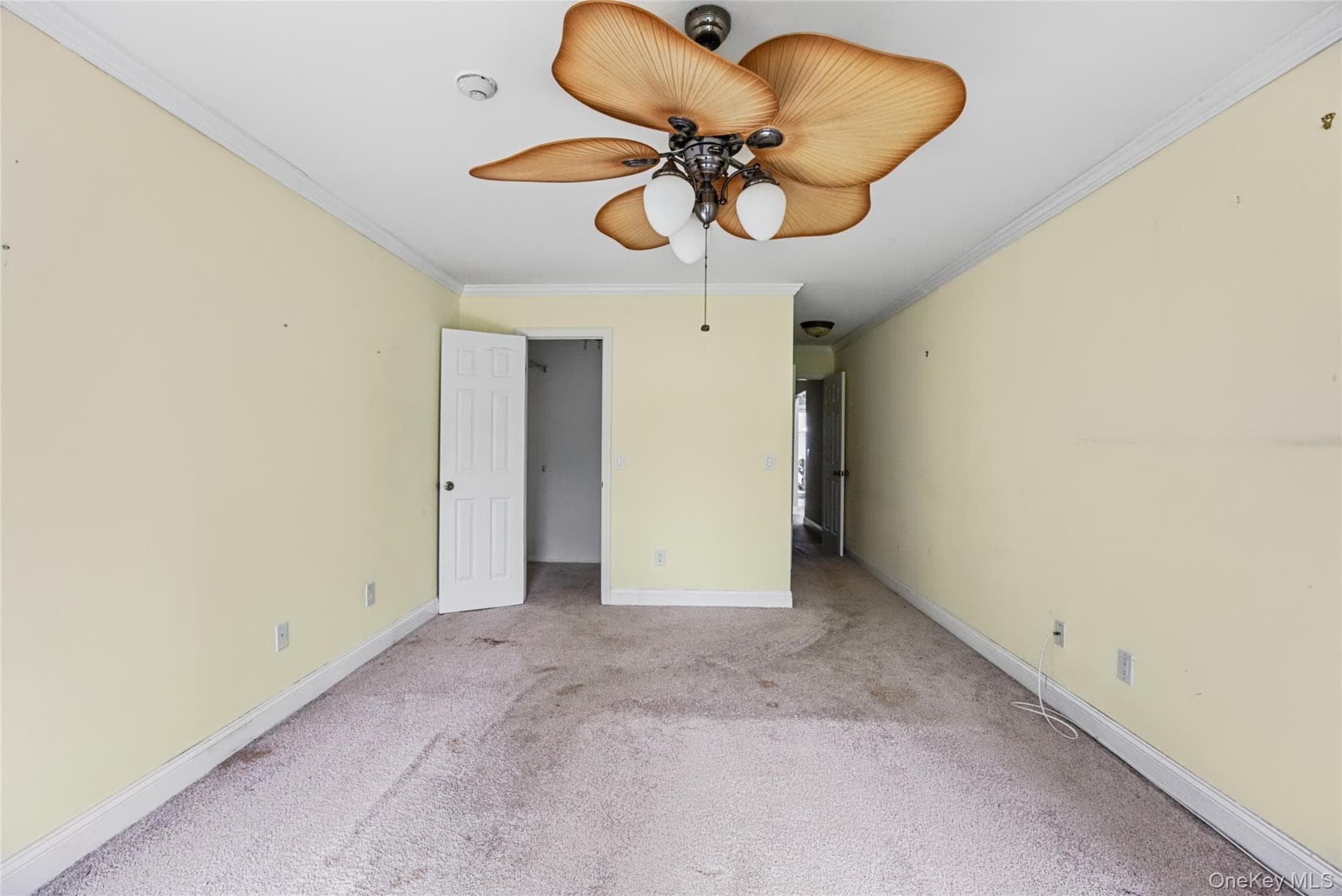 65 Eric Drive thumbnail 23
